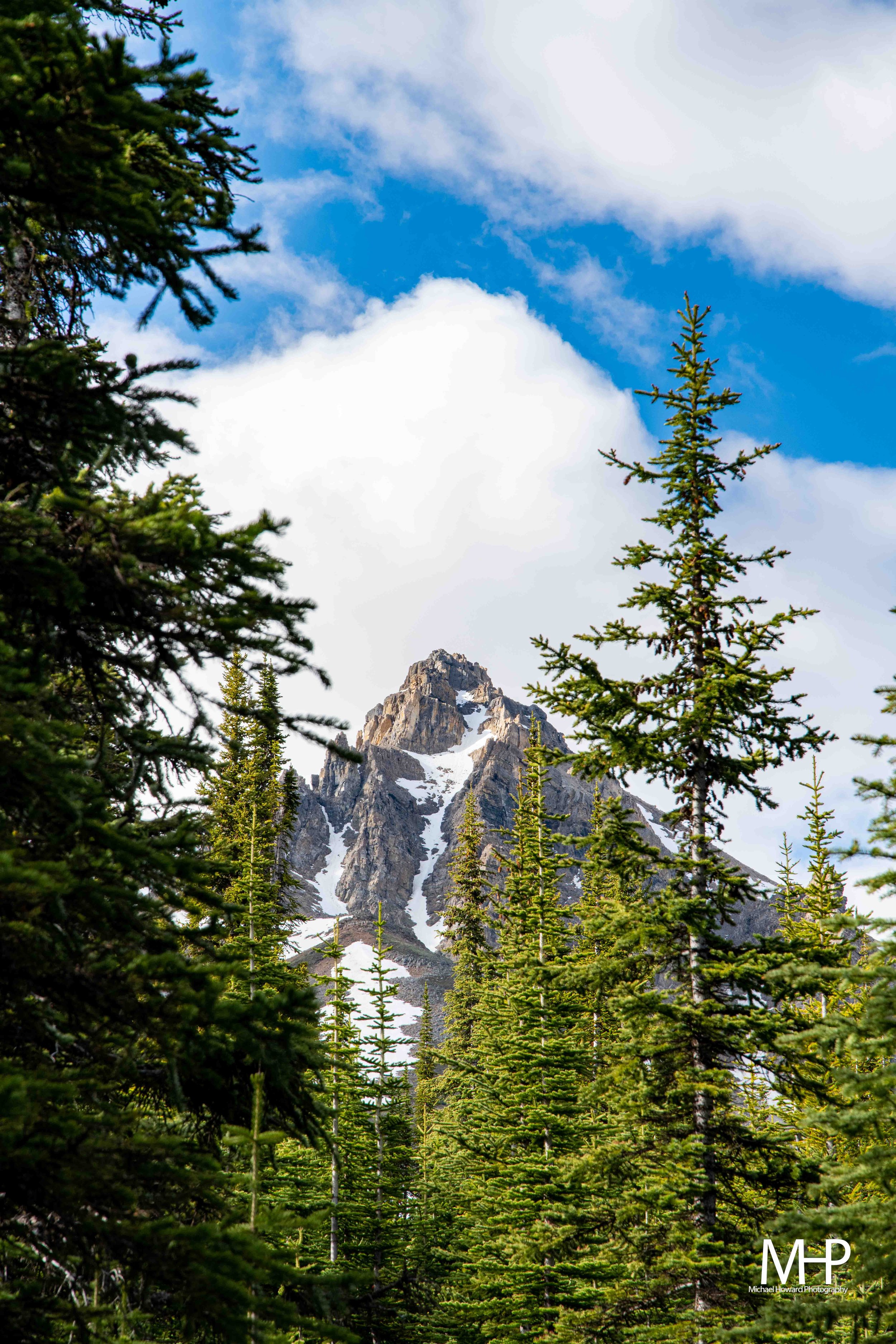 DSC_0634.jpg