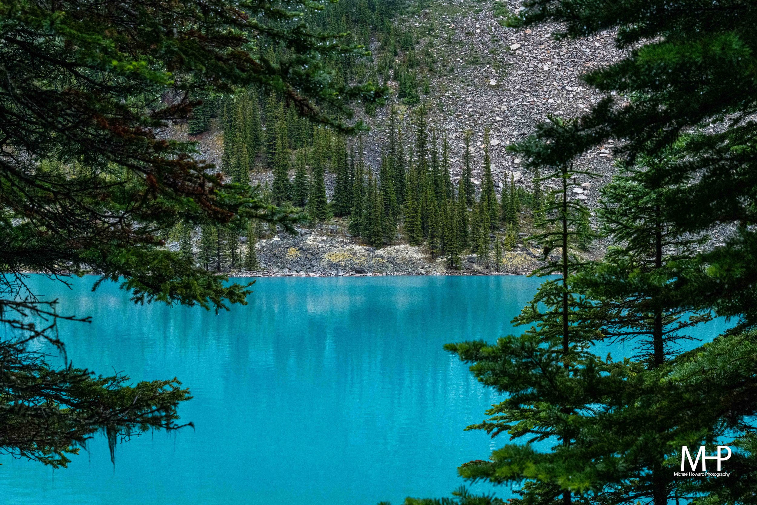 DSC_0823.jpg