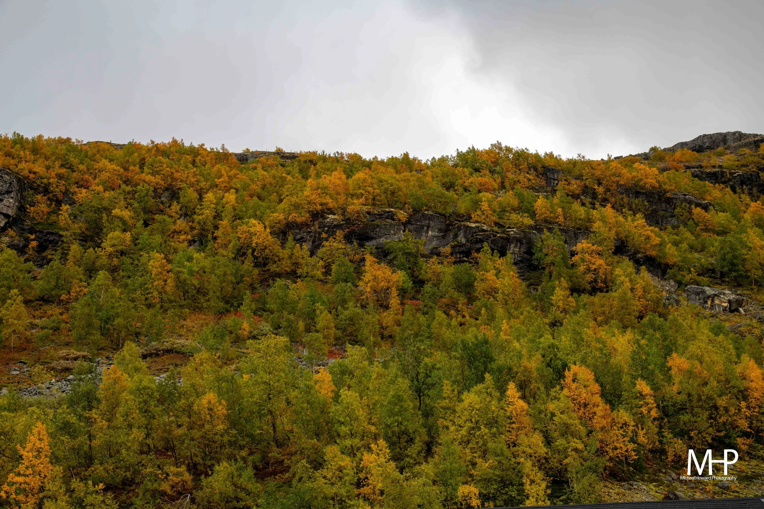 DSC_2242.jpg
