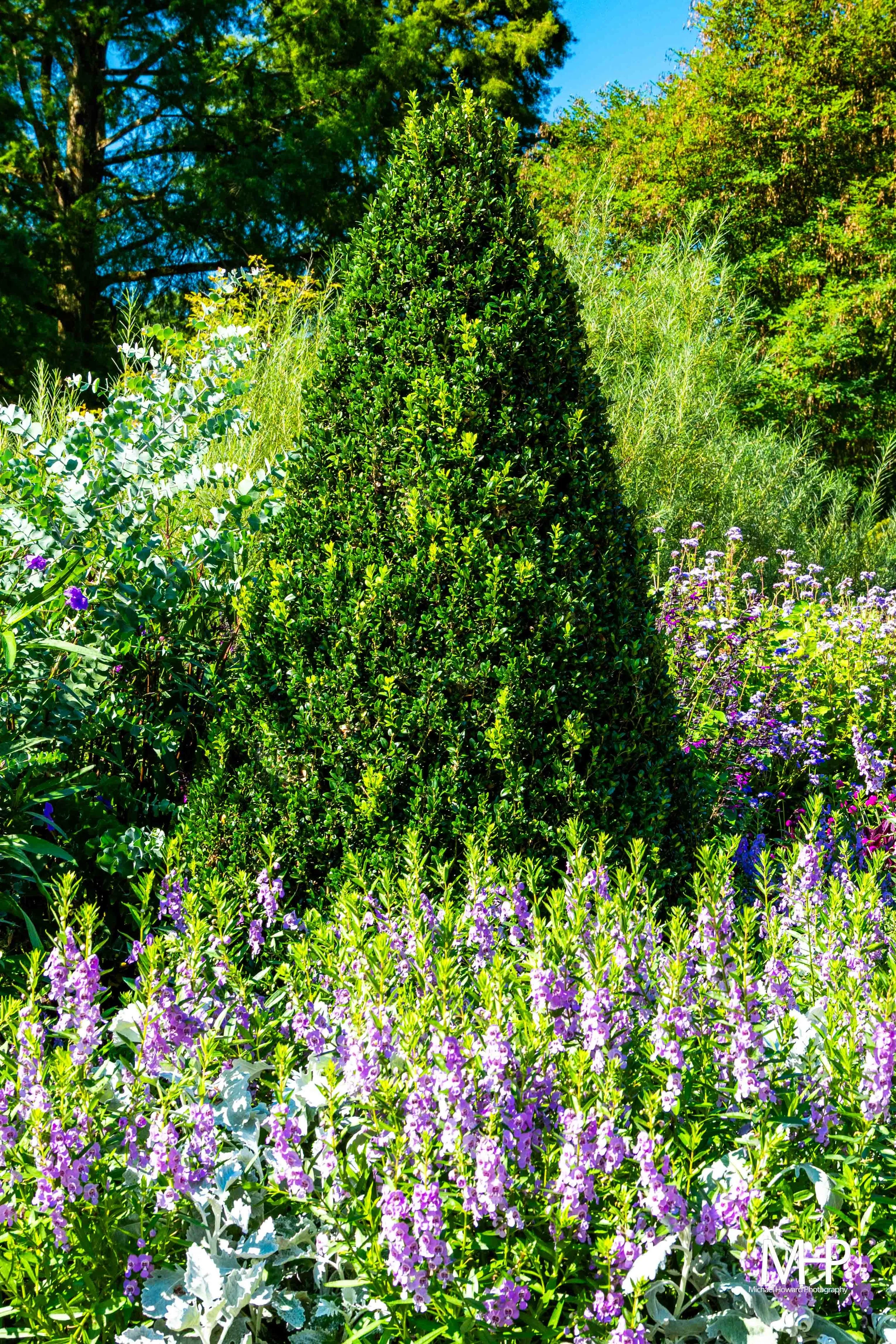 A lush garden scene with green bushes, purple and white flowers, tall grass, and trees in the background, under a bright blue sky.
