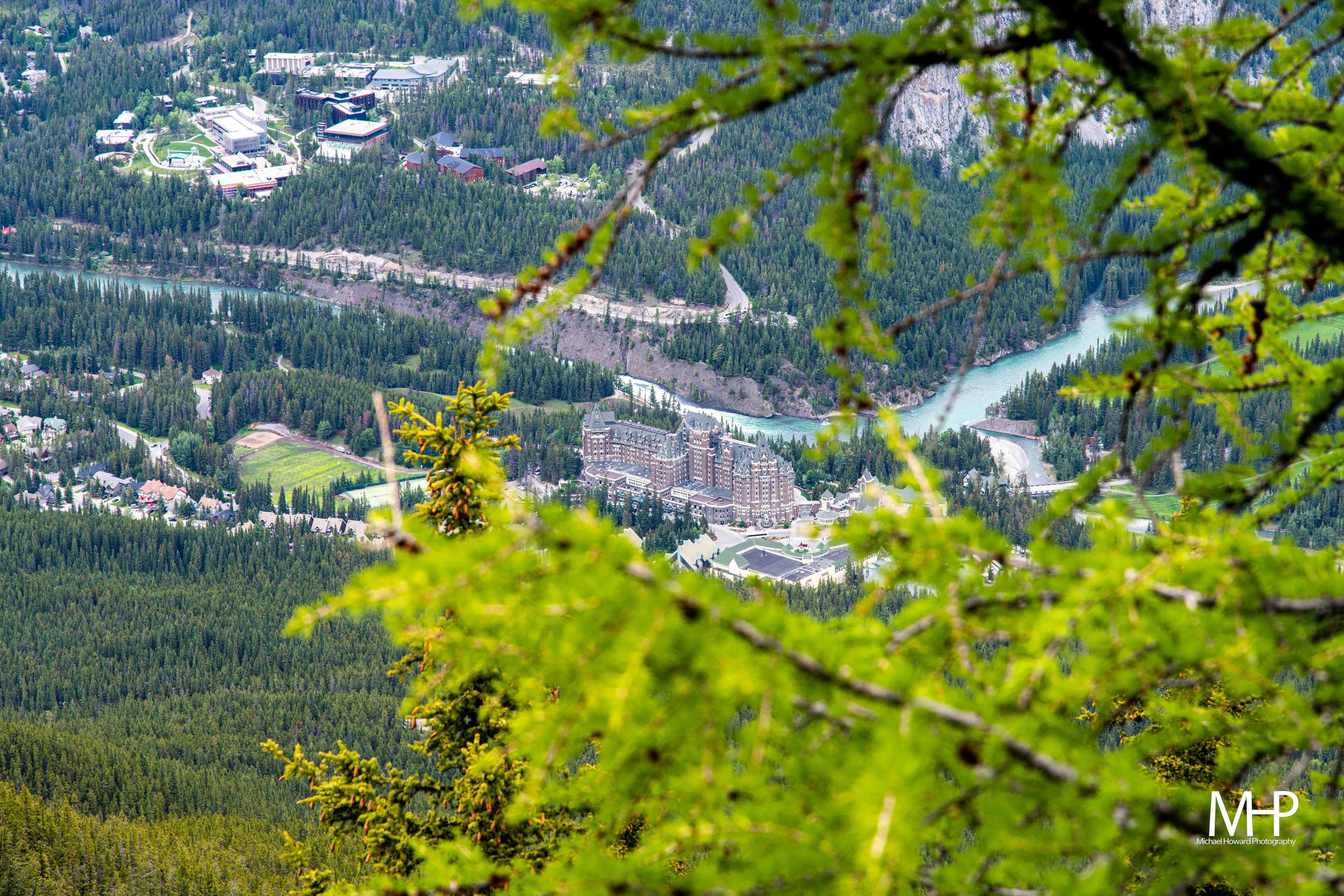 DSC_0972.jpg