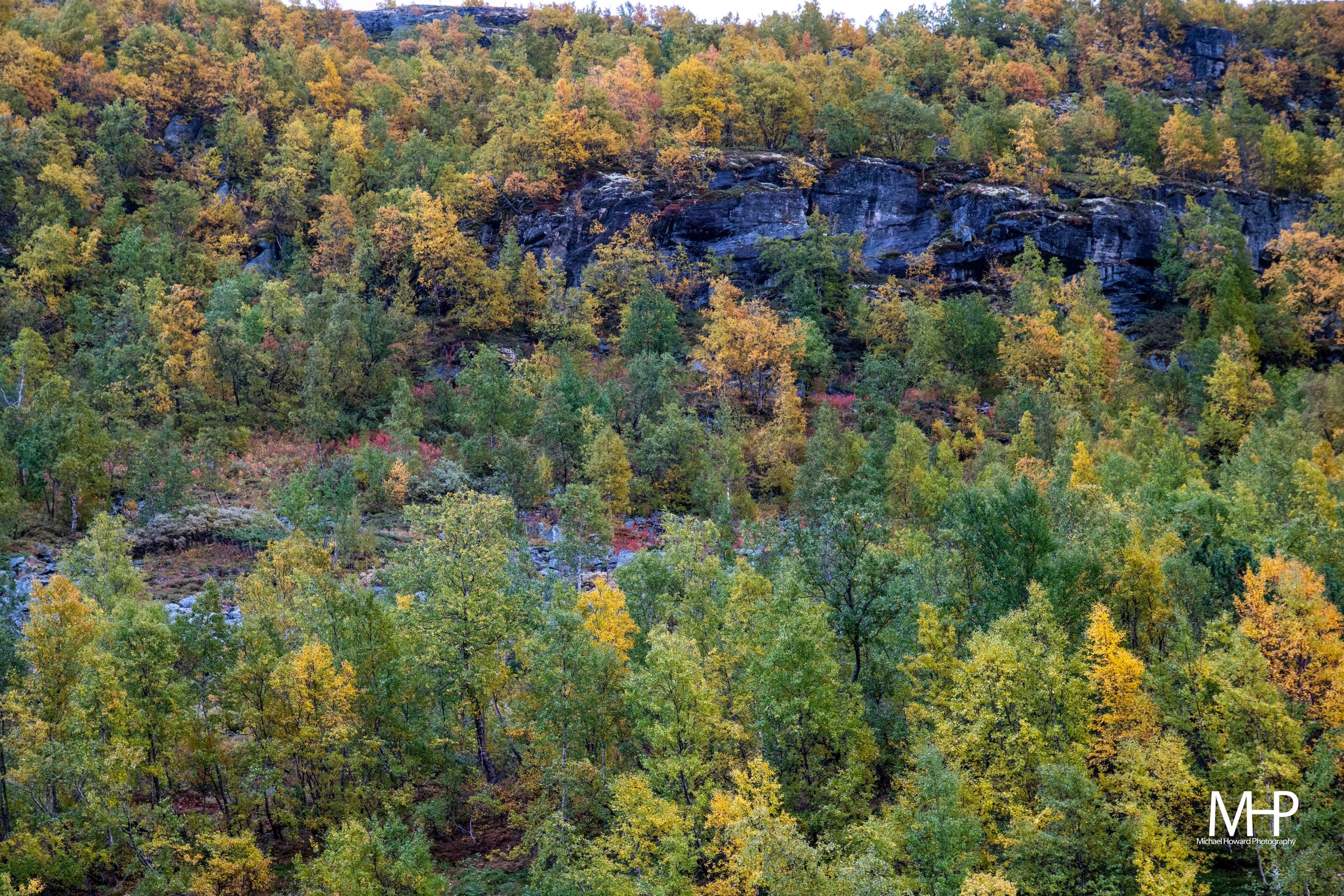 DSC_2243.jpg