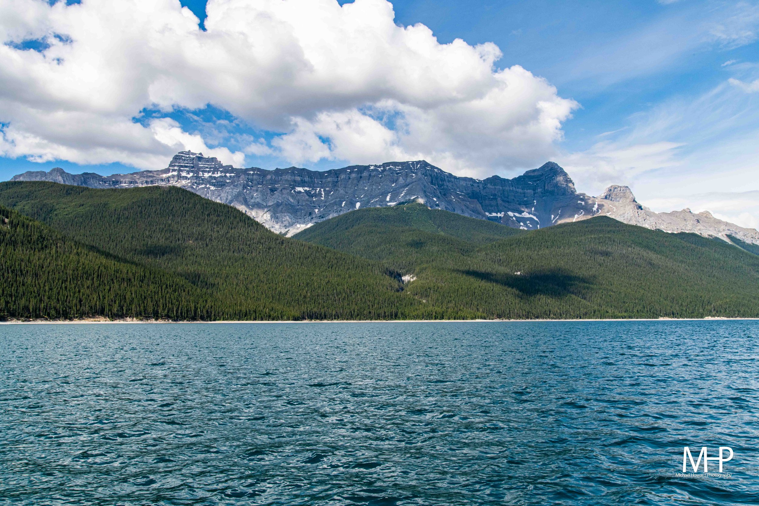 DSC_1194.jpg