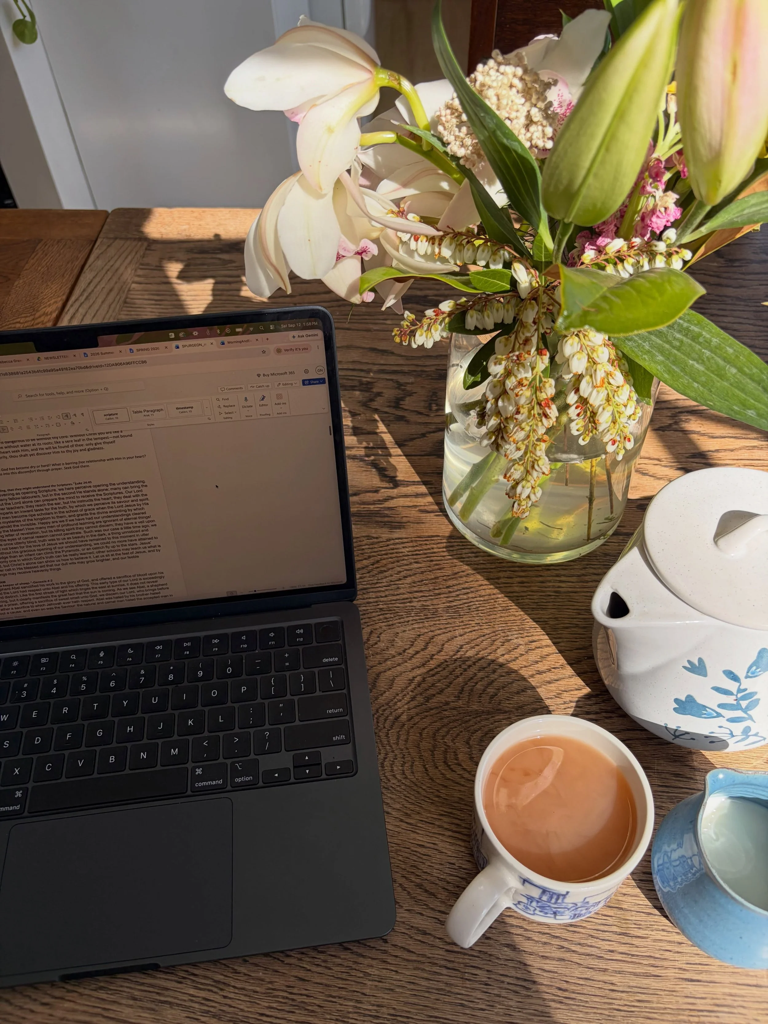 Copyediting is the most underrated, satisfying, and time-consuming step in the publication process 📚 Fortunately, I love our current manuscripts and feel so blessed to be reading and reflecting on these books myself!