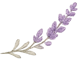 A lavender-colored sprig of lavender flowers with small purple blooms along its stem.