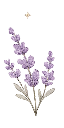 Hand-drawn illustration of a lavender bouquet with purple flowers and greenish-gray leaves, topped by a small star shape and surrounded by small stars.