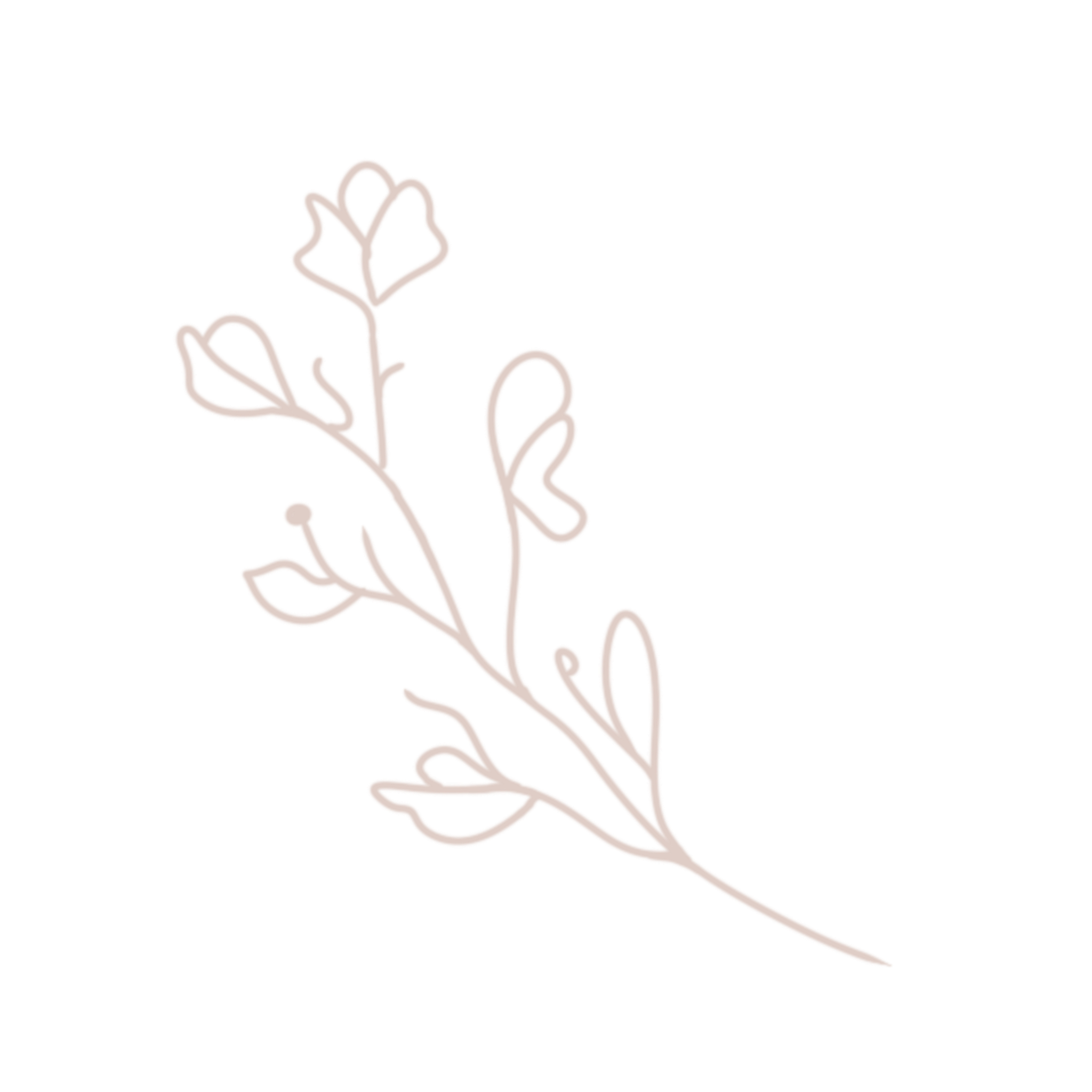 Outline of a plant with leaves on a black background.