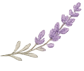 A lavender sprig with purple flowers and green leaves.