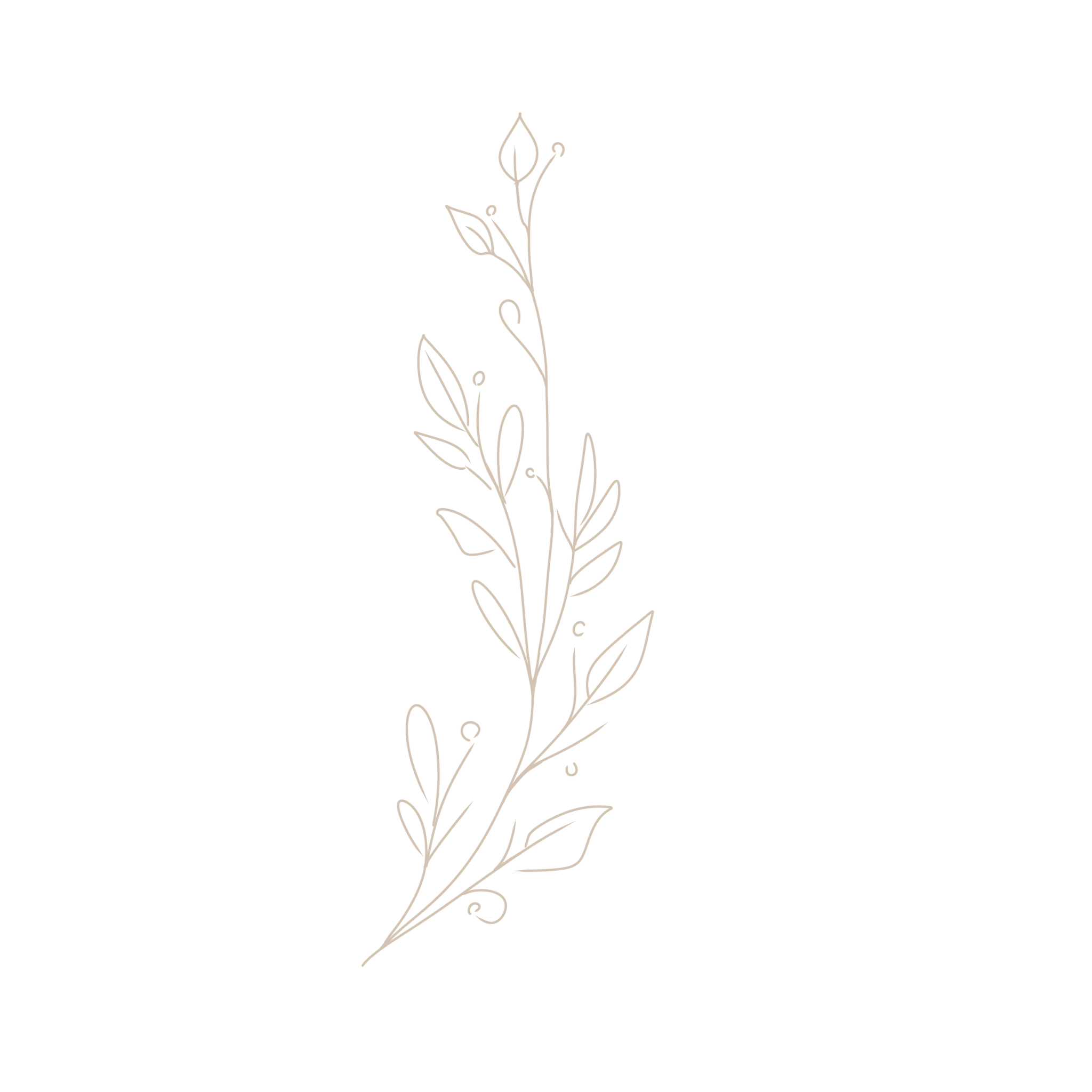 A minimalist line drawing of a plant or branch with leaves and small circular accents, on a black background.