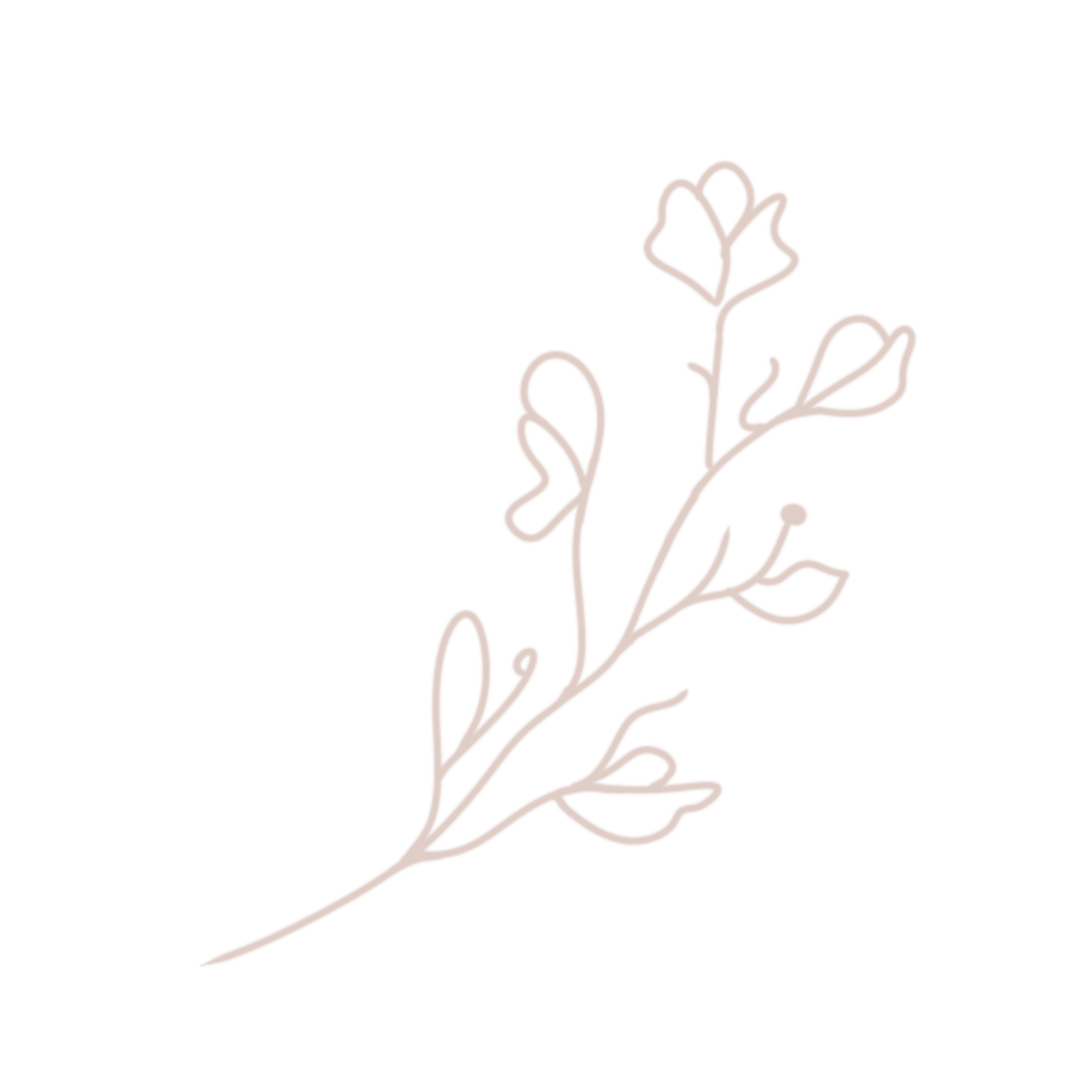 Outline of a rose with leaves and a stem, created with a continuous line art style.