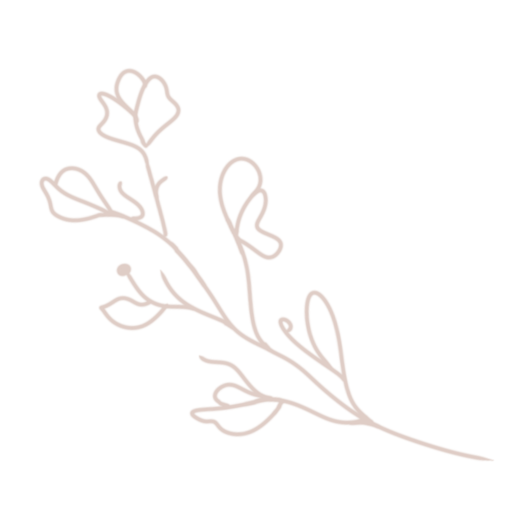 A digital illustration of a single rose with a stylized outline against a dark background. The rose's outline is pink with hints of blue and purple, and it has a minimalist, abstract appearance.