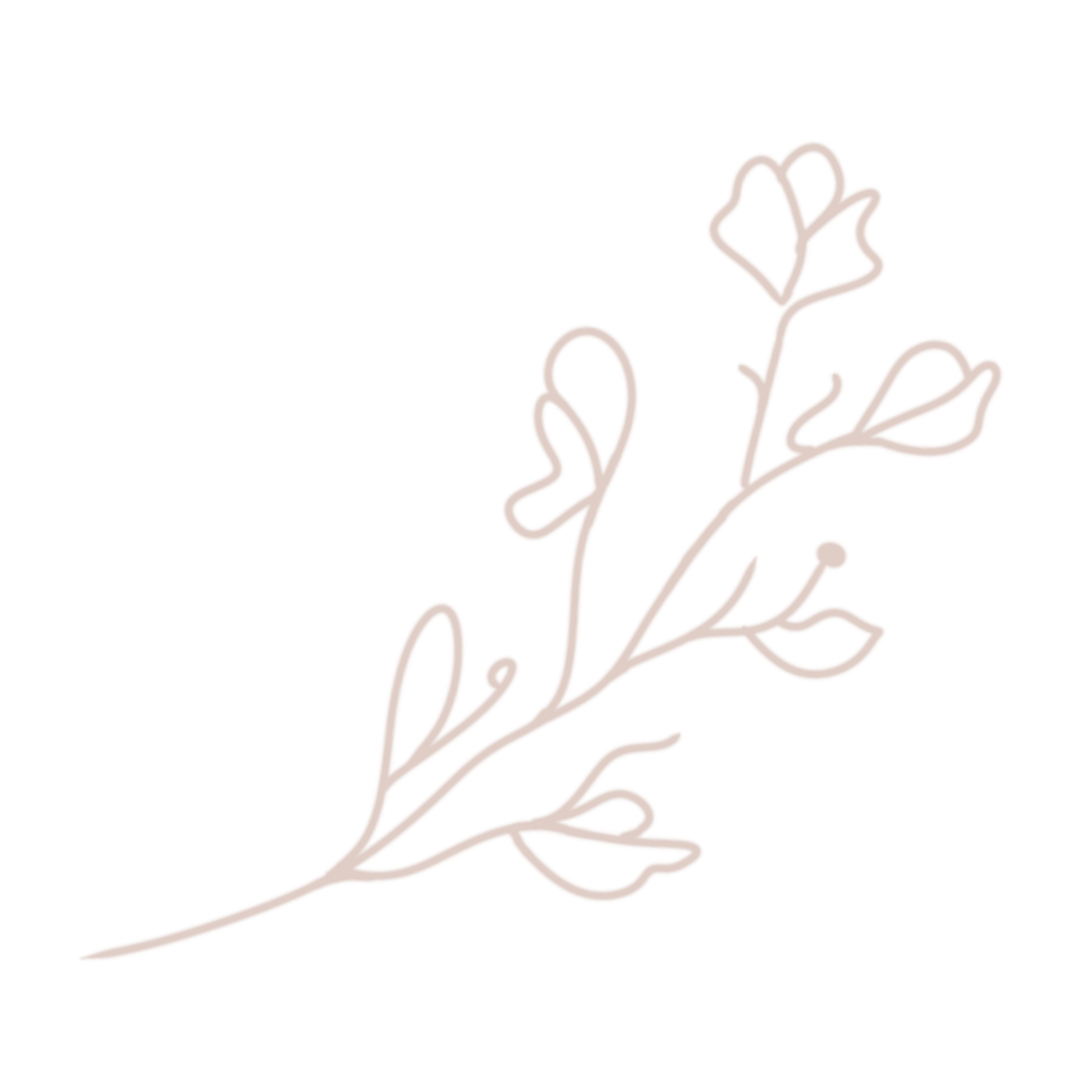 Outline drawing of a person's hand holding a small plant with two leaves and a red and yellow bud, all outlined in gray against a transparent background.