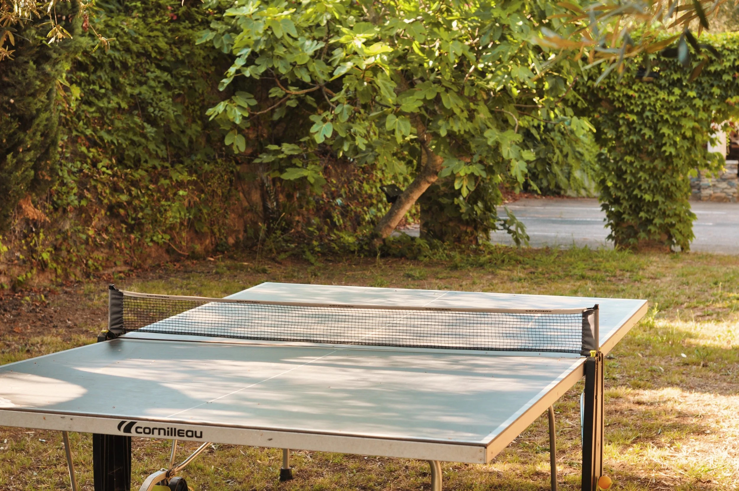DSC_0352_VSCO.JPG
