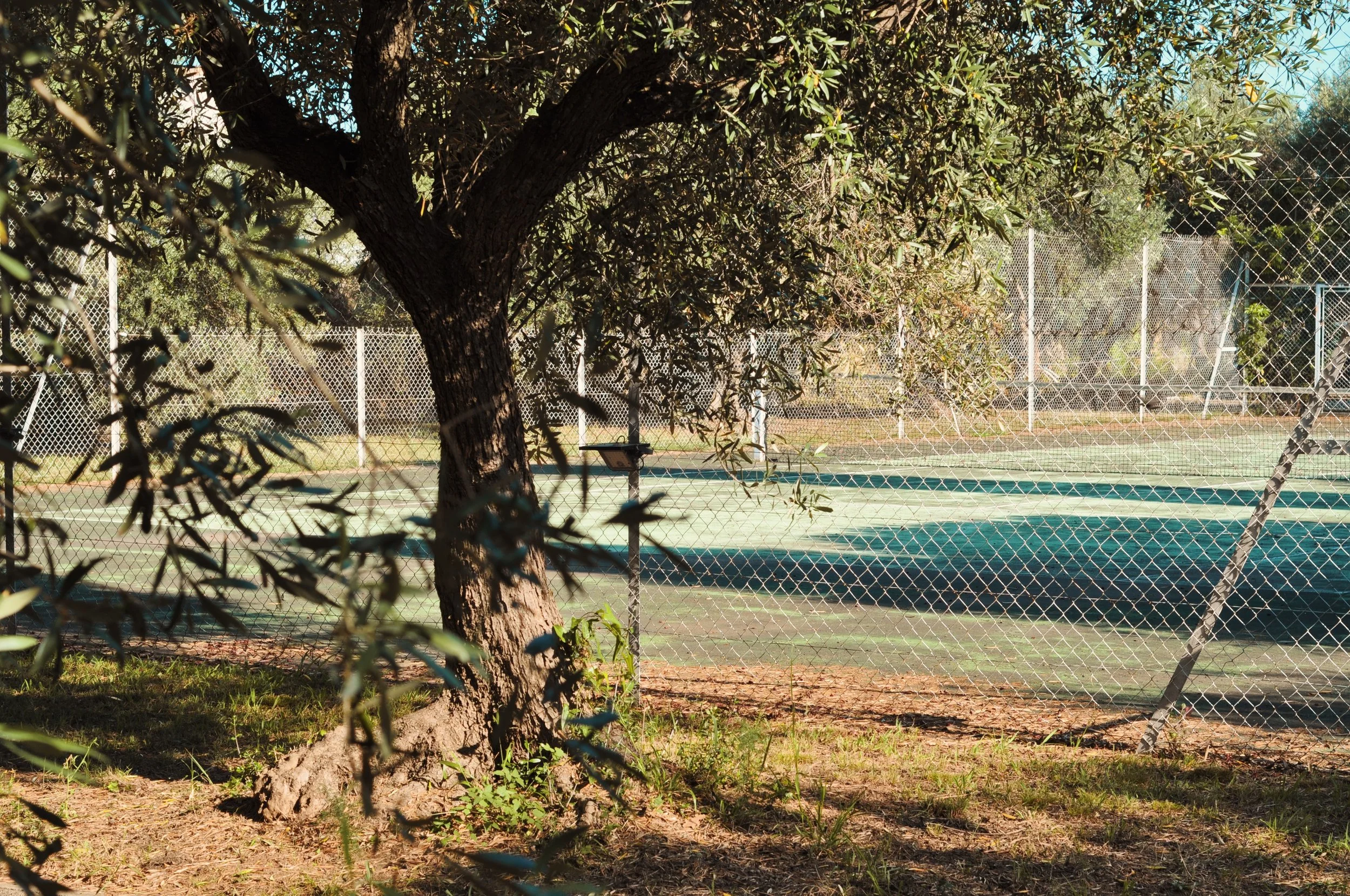 Terrain de tennis