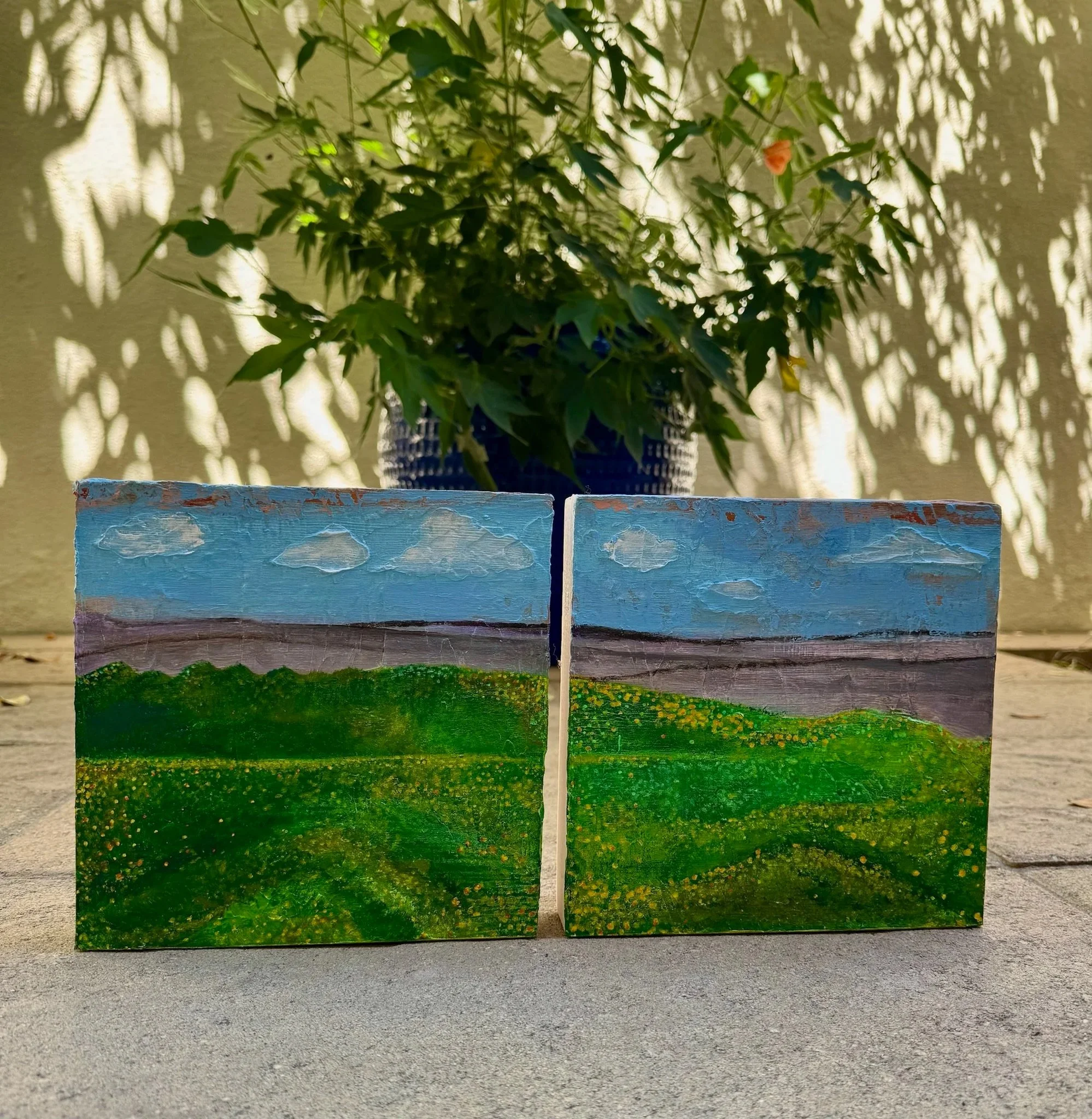 Where The Fog Meets The Field (diptych)