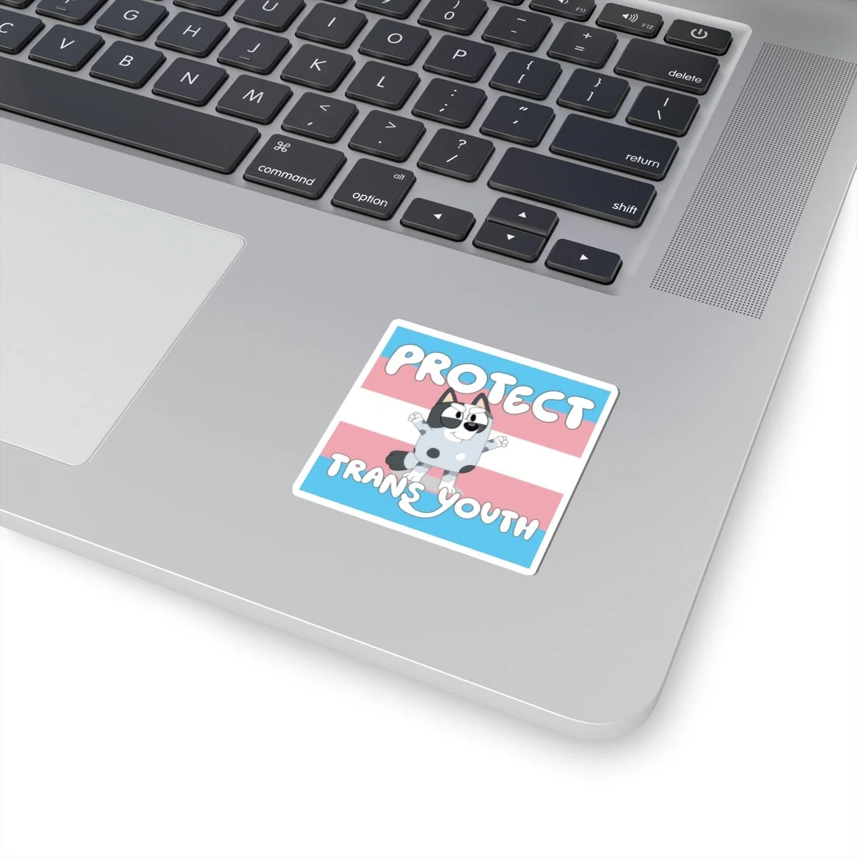 Protect Trans Youth Sticker