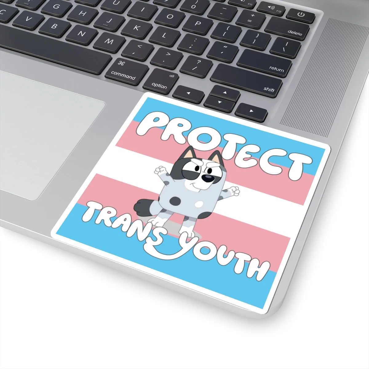 Protect Trans Youth Sticker