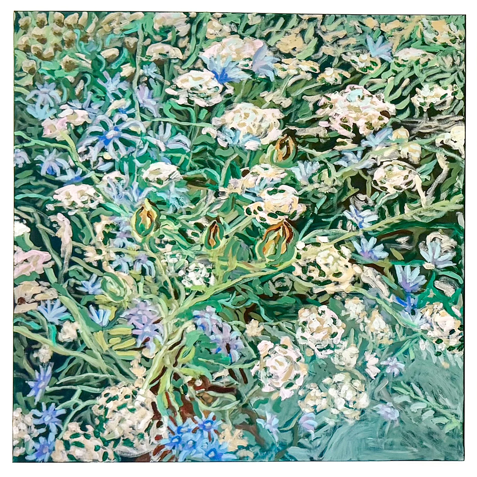 Baby Blue Floral Lace
