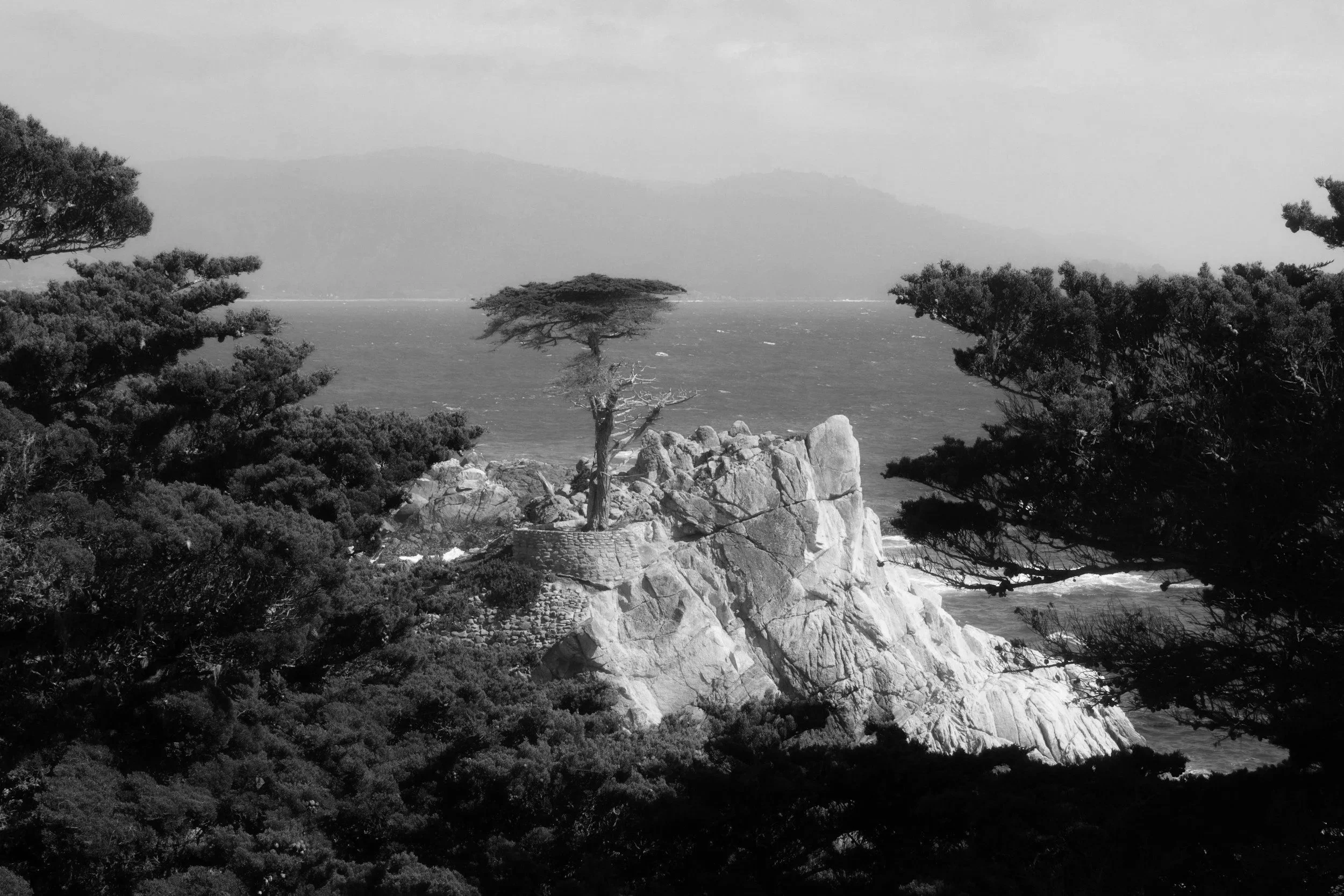 Black and white photograph of a landscape with rocky cliffs, pine trees, and a body of water, with mountains in the background.