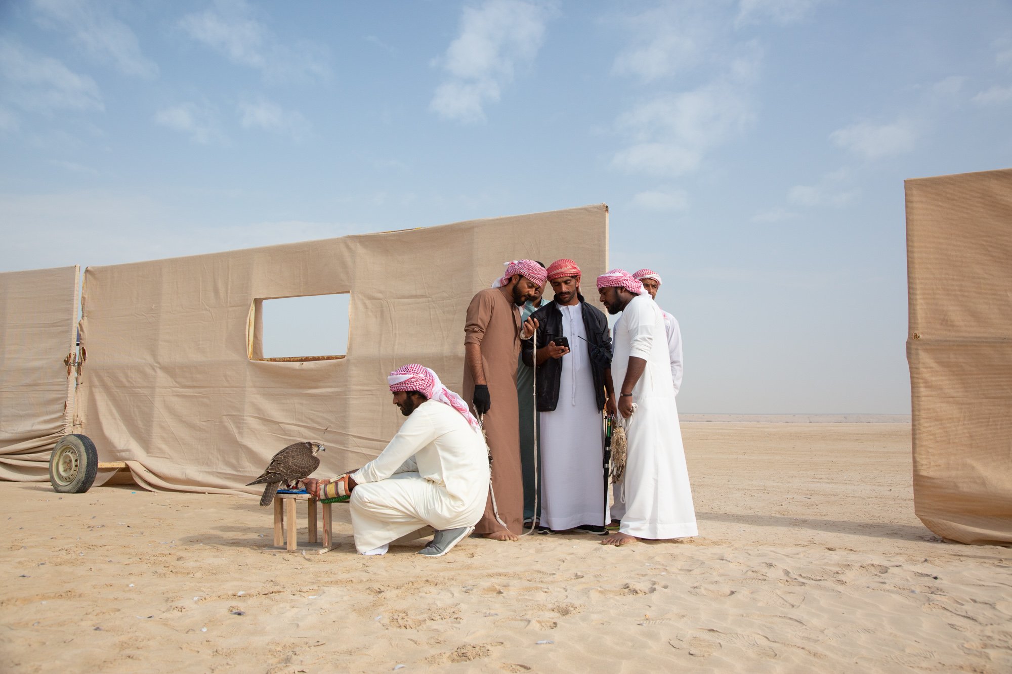 Group of Middle Eastern men with headscarves gathered around a man holding a bird of prey in a desert setting, with beige fabric walls and a blue sky.