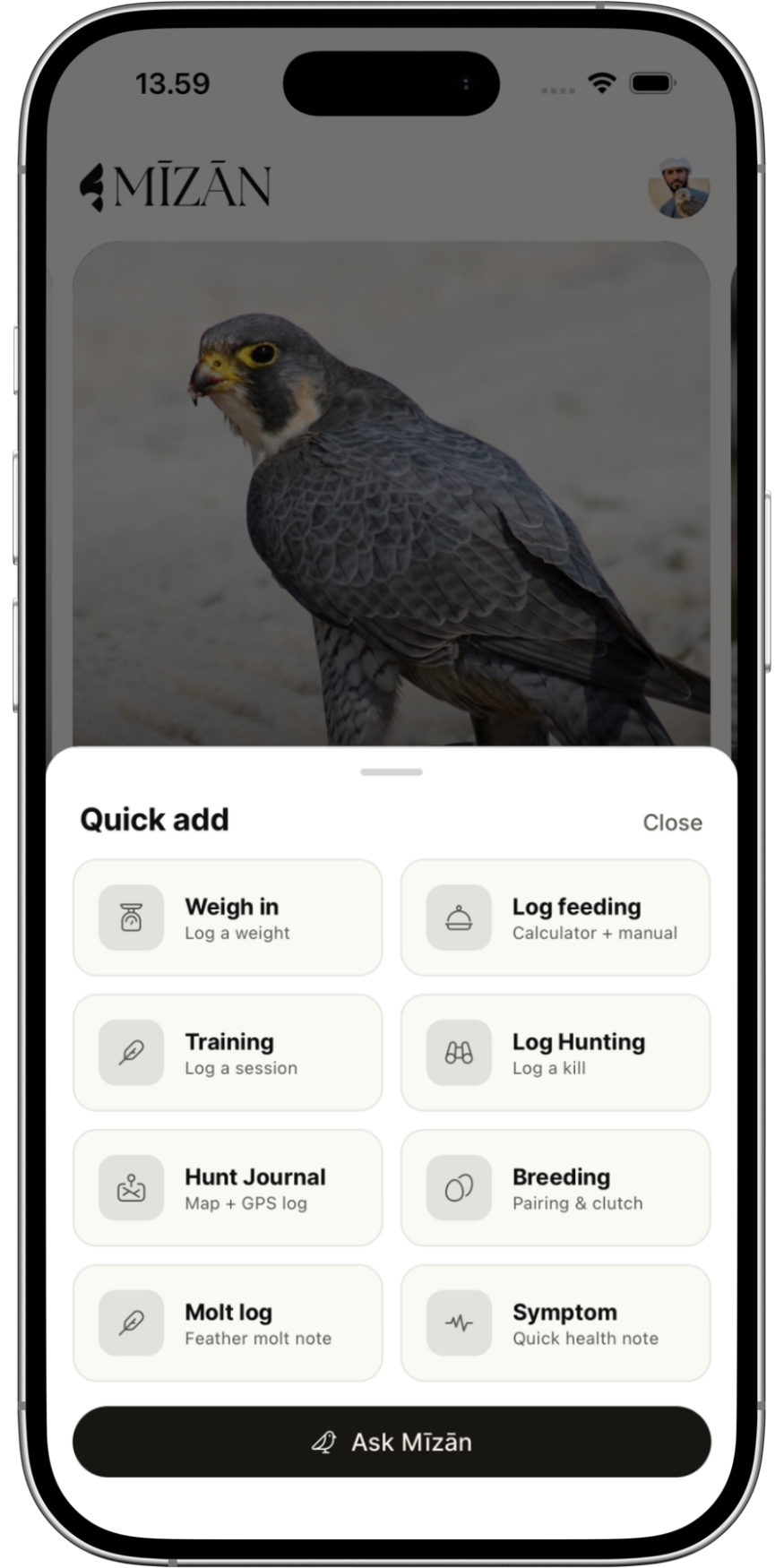 Smartphone screen showing a bird of prey, possibly a falcon or hawk, and an app interface with options for bird tracking and management.