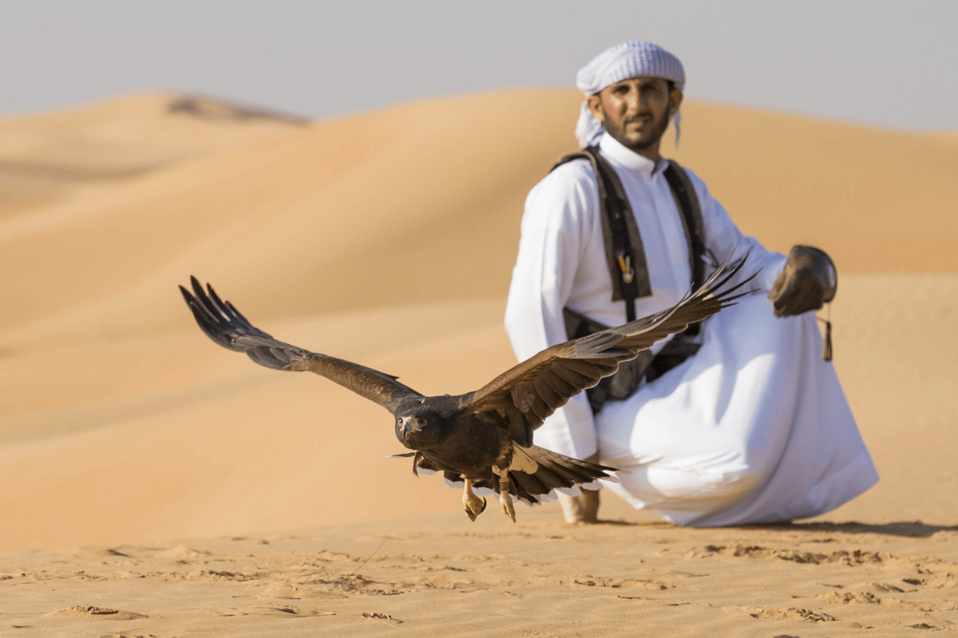 Manning, Creance, and the Lure: The Falconer's Craft