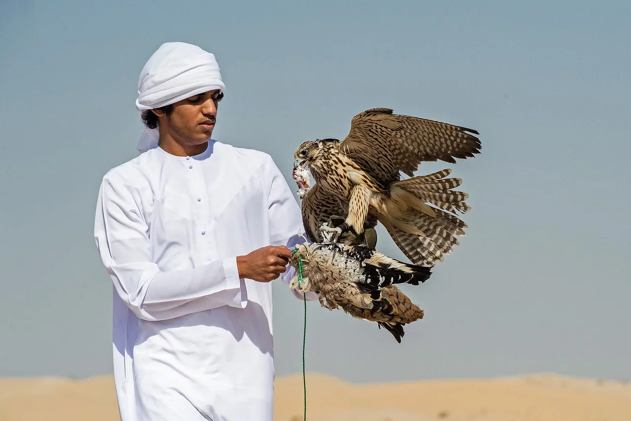 A man dressed in white traditional Middle Eastern attire holding a falcon on his gloved hand in a desert landscape.