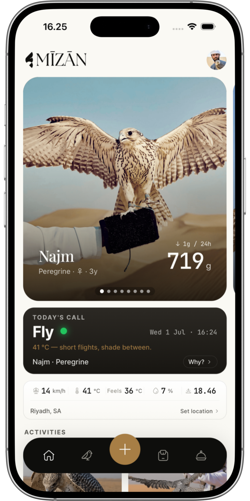 Mobile app screen showing details of a juvenile peregrine falcon named Najm, including a photo of the bird with its wings spread, weight of 719 grams, and environmental data in Riyadh, Saudi Arabia.