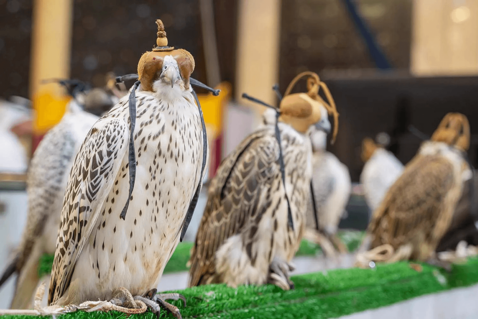 Multiple taxidermy birds with hats and cords on display on a green surface.