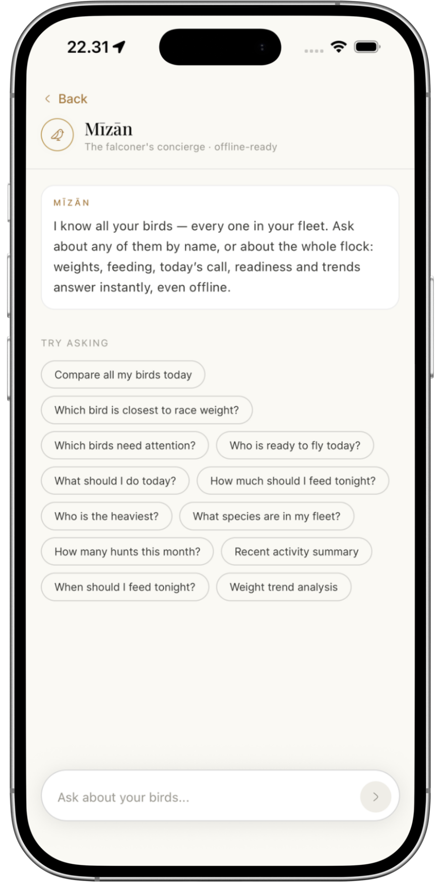 A smartphone screen displaying a bird management app with options to ask about bird weights, feeding, activity, and flock details. The app features a section about a bird named Mizań, a falconer's concierge service, and various question buttons for bird-related inquiries.