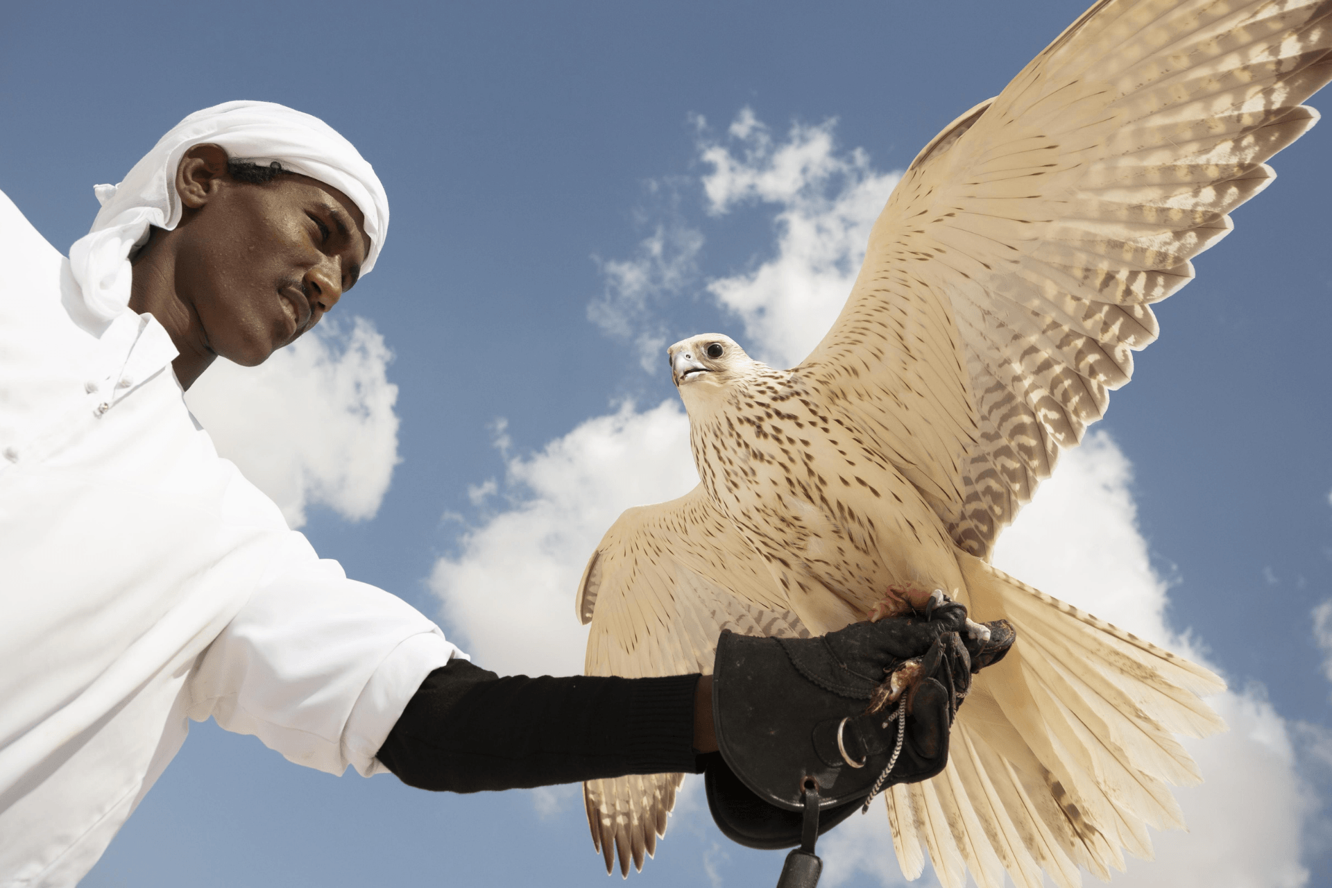 A man dressed in white holding a large bird of prey with open wings against a blue sky with scattered clouds.