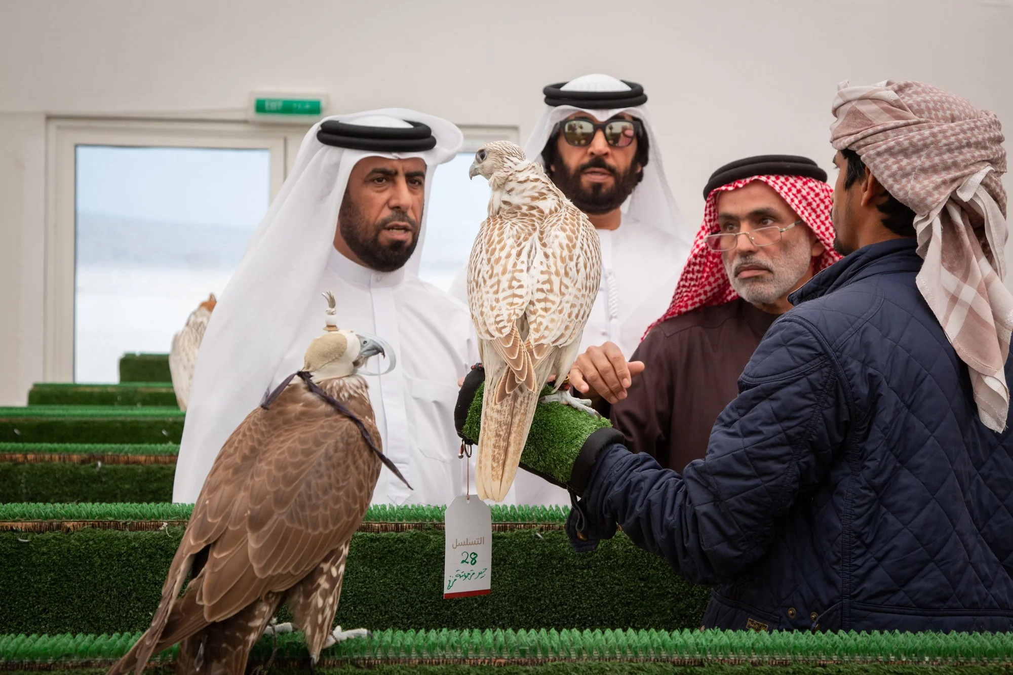 A group of four men dressed in traditional Middle Eastern attire are observing falcons displayed on a table at an indoor exhibition. The falcons are perched on a stand, and one man is holding a falcon with a hood. The men are wearing white thobes, headscarves, and sunglasses. There is a sign with Arabic writing and the number 28 in front of the falcons.