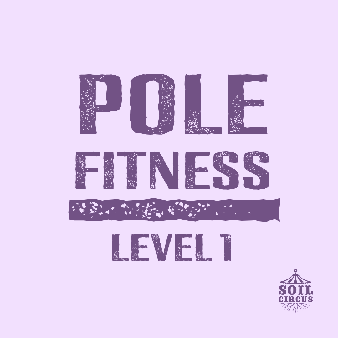 Pole Fitness - Level 1