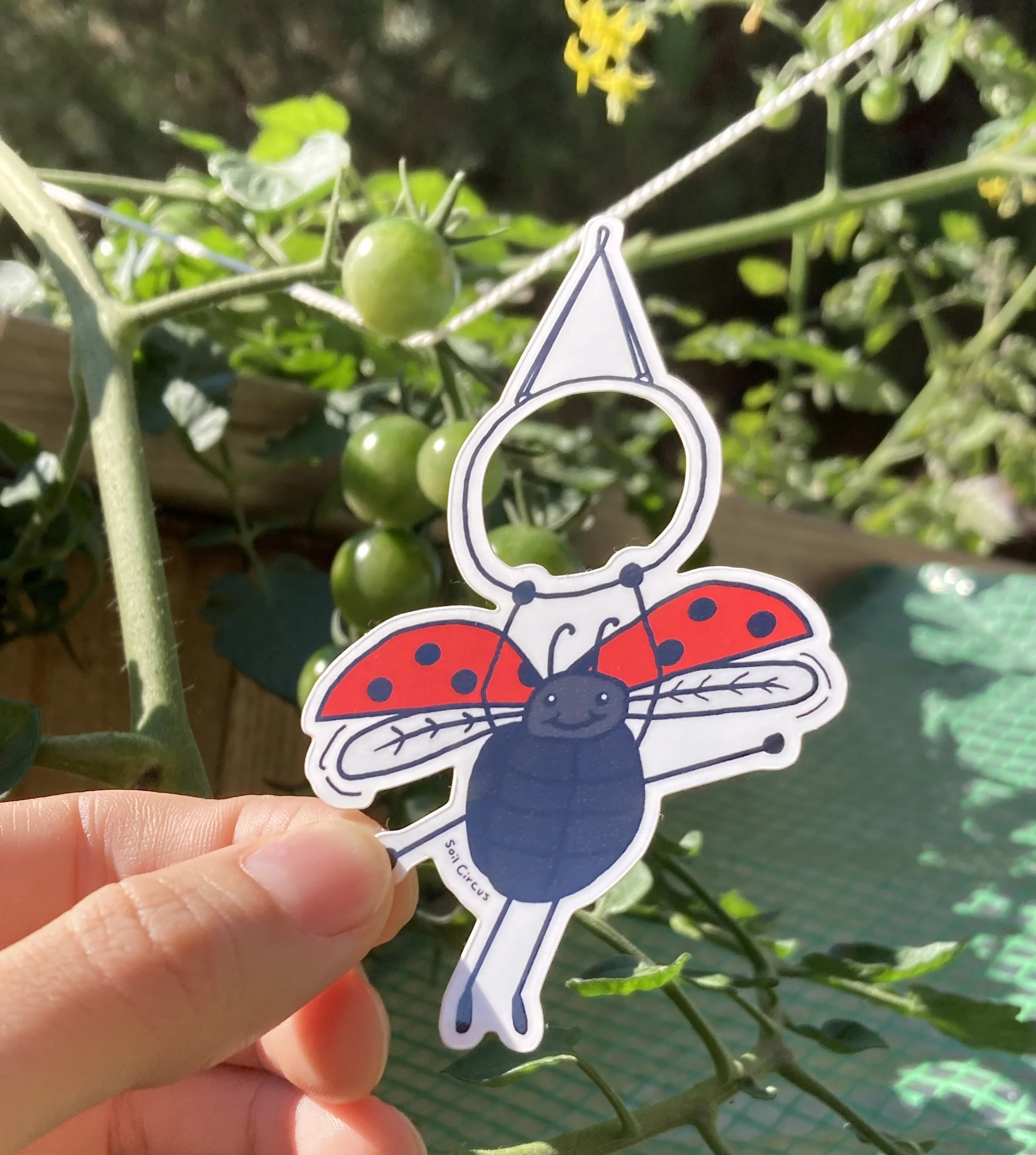 Ladybug on Lyra Sticker.crop.jpeg