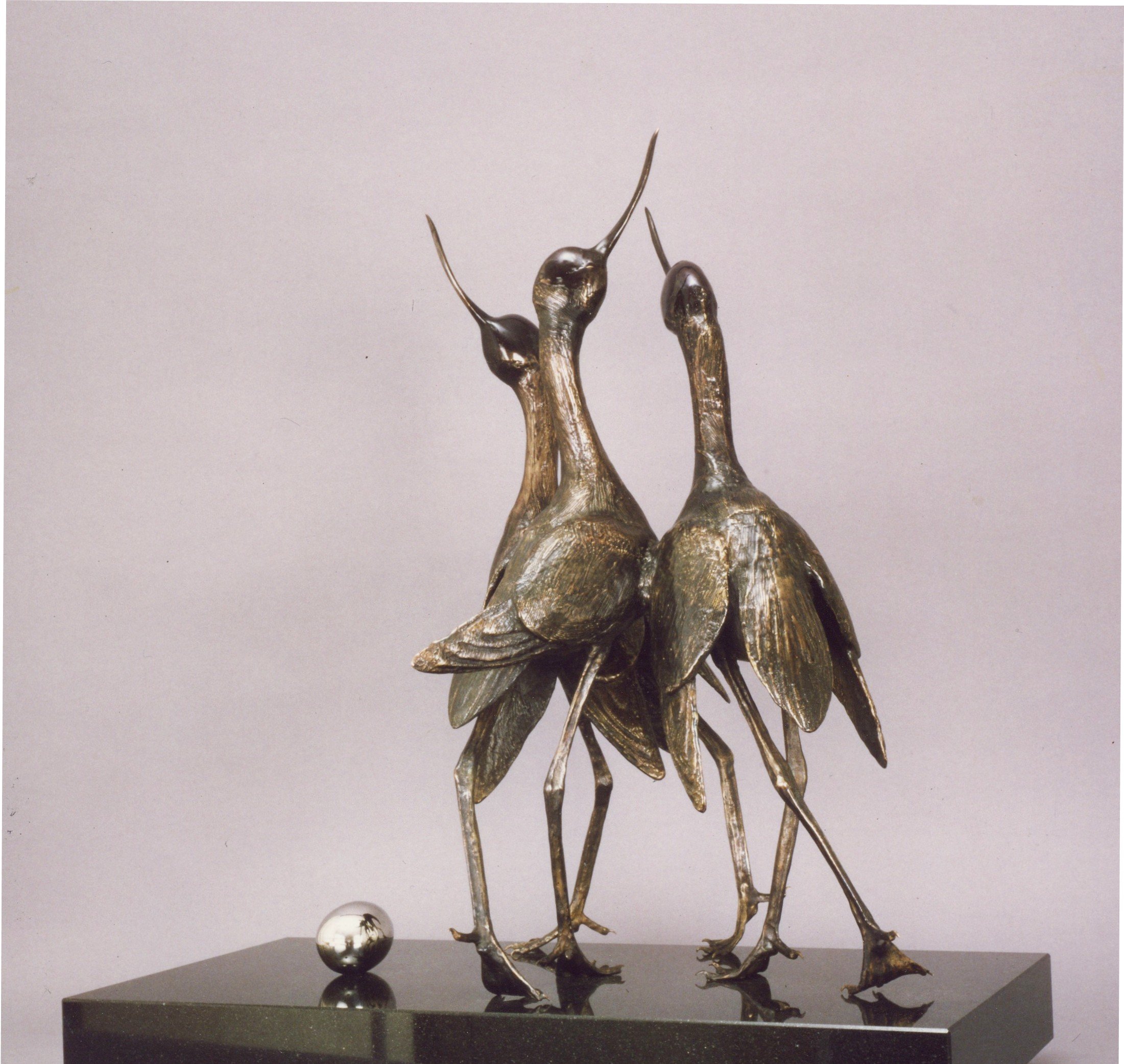 Whose is it anyway avocets.JPG