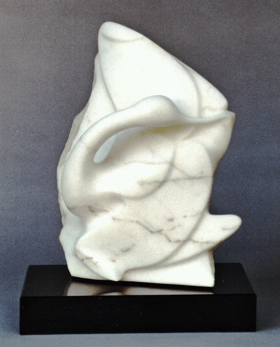 Avocet Carrara Marble.jpg