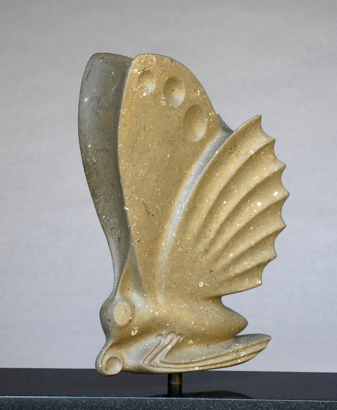 Flight-Over-Ancient-Seas,-Kansas-Limestone-by-Les-Perhacs.jpg