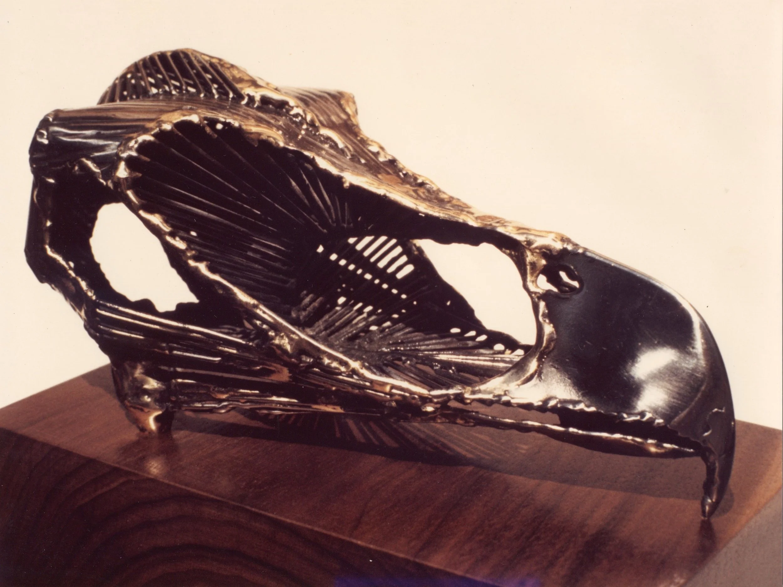 Early Welded Steel Raptor Skull 68.JPG