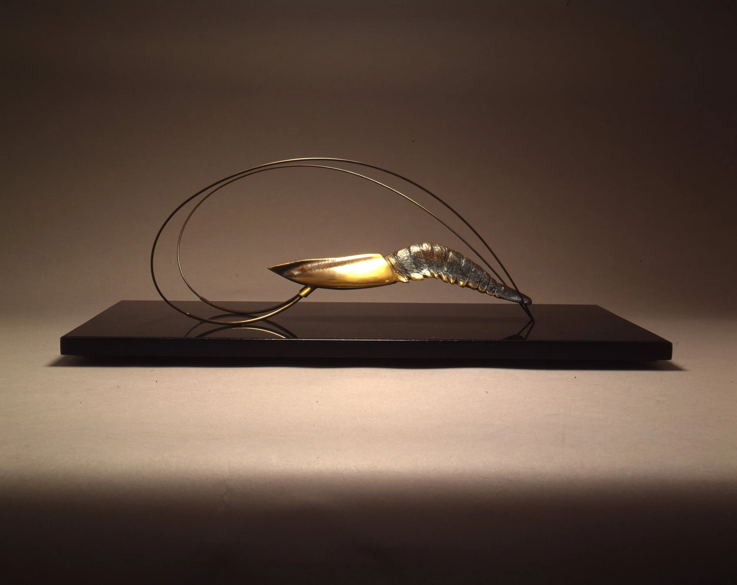 Shrimp Form.jpg