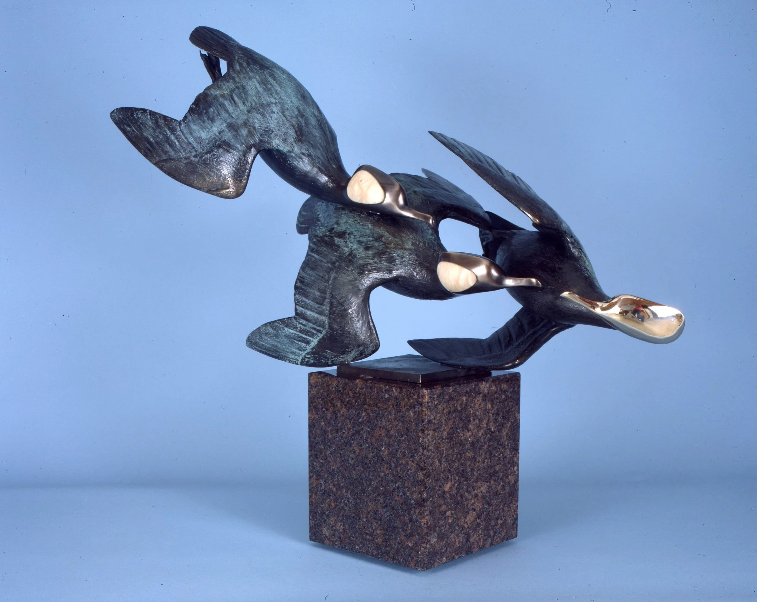 Hooded Mergansers with marble inlay in WA.jpg