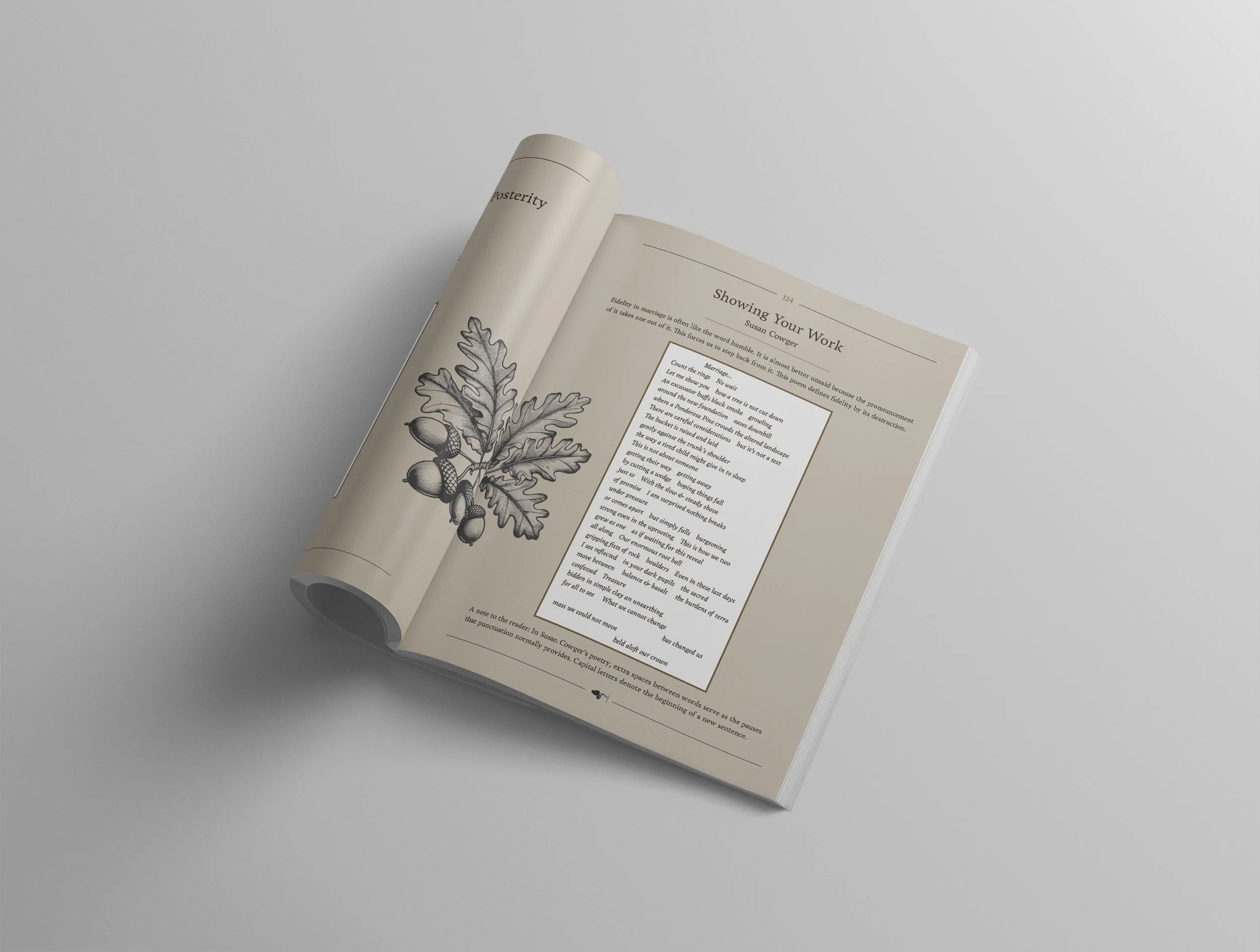 Open issue of Cultivating Magazine with a botanical illustration of an oak branch with acorns, on a light gray background.