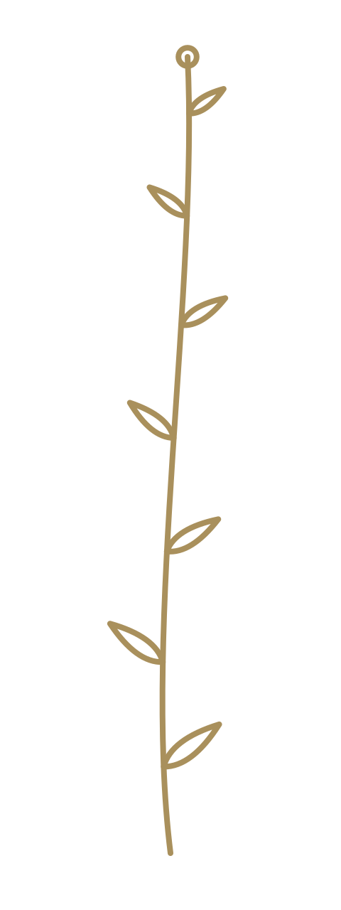 A simple illustration of a vertical plant stem with small leaves attached along its length, drawn in a minimalistic style with a beige color on a black background.