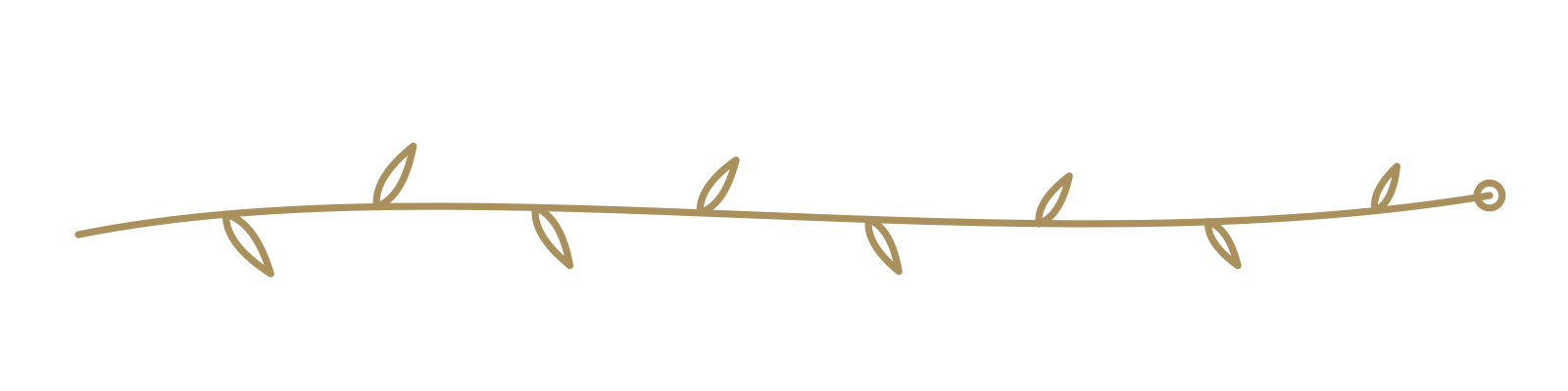 Decorative illustration of a light brown vine with small leaves.