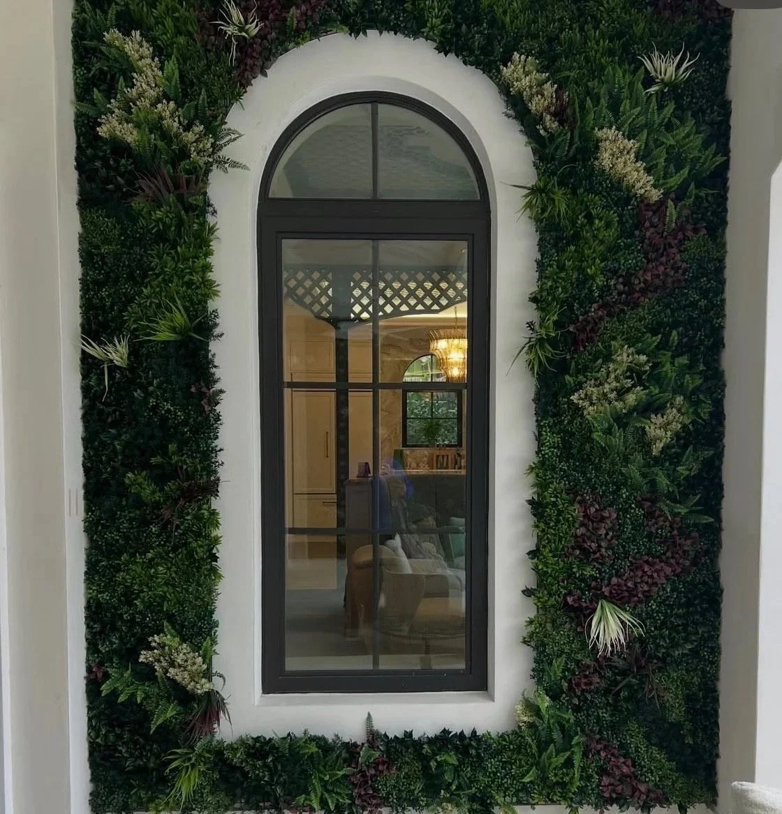 Ivy Walls