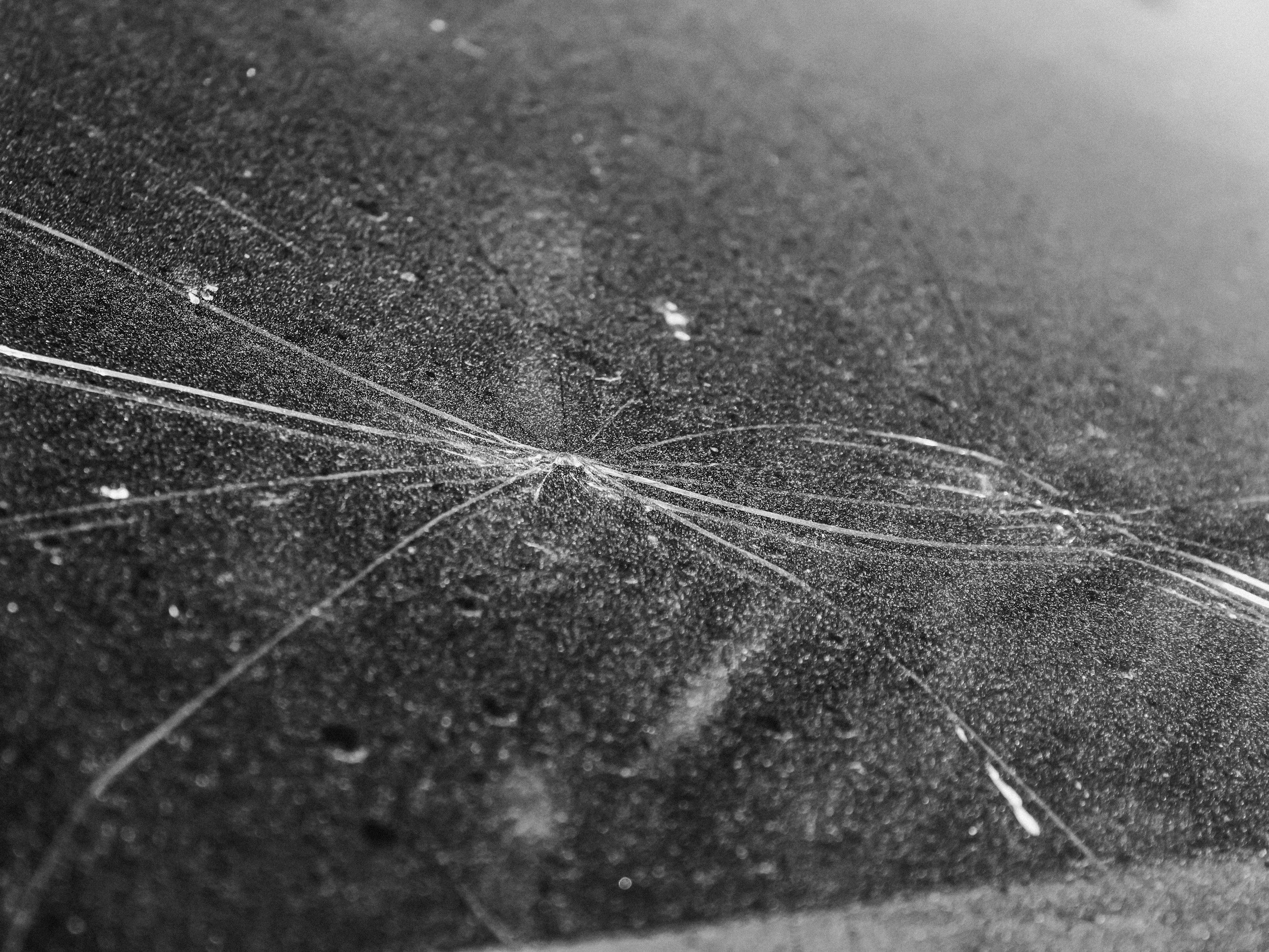 Close-up image of a black, textured surface with white lines and small particles.