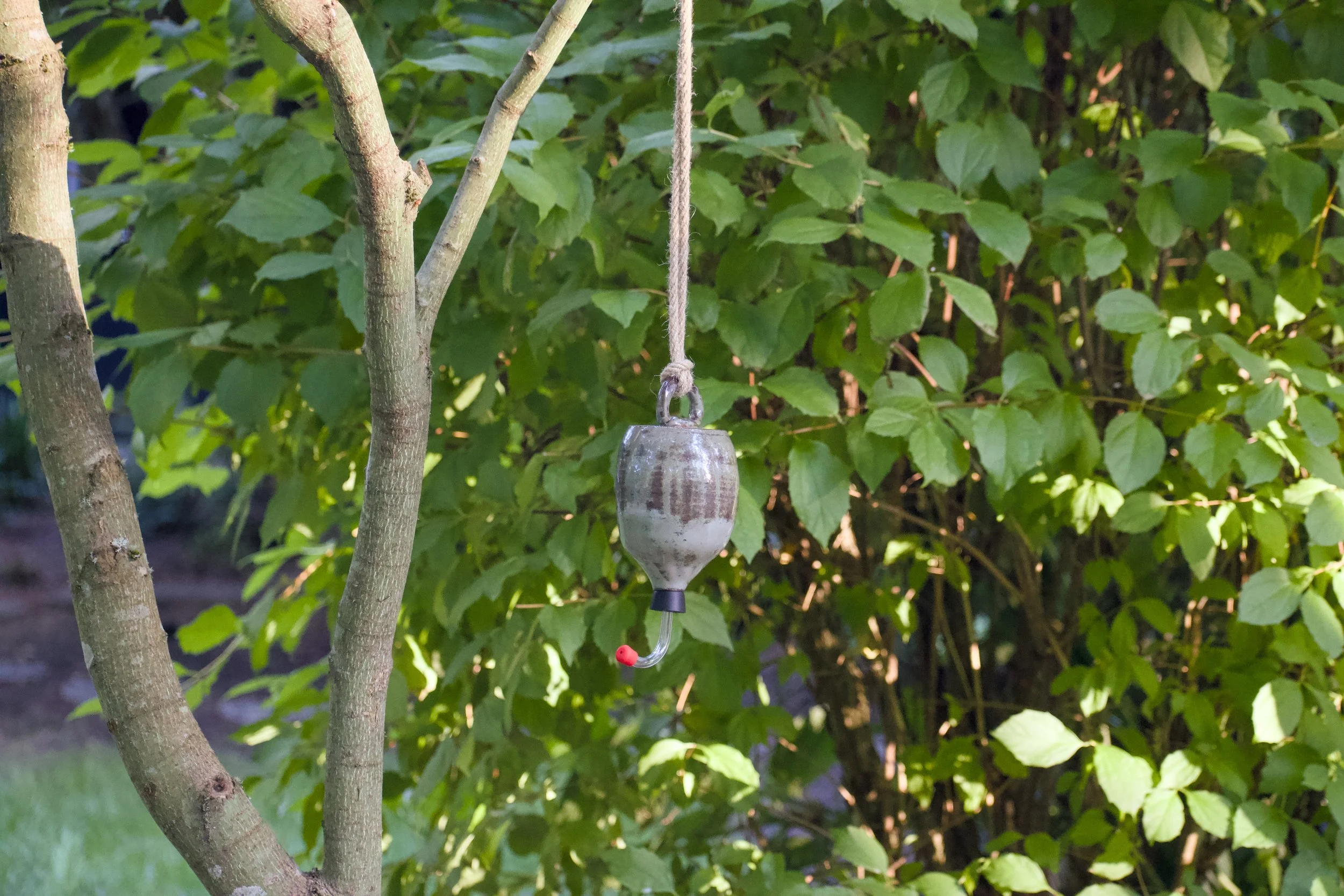 Hanging.jpg