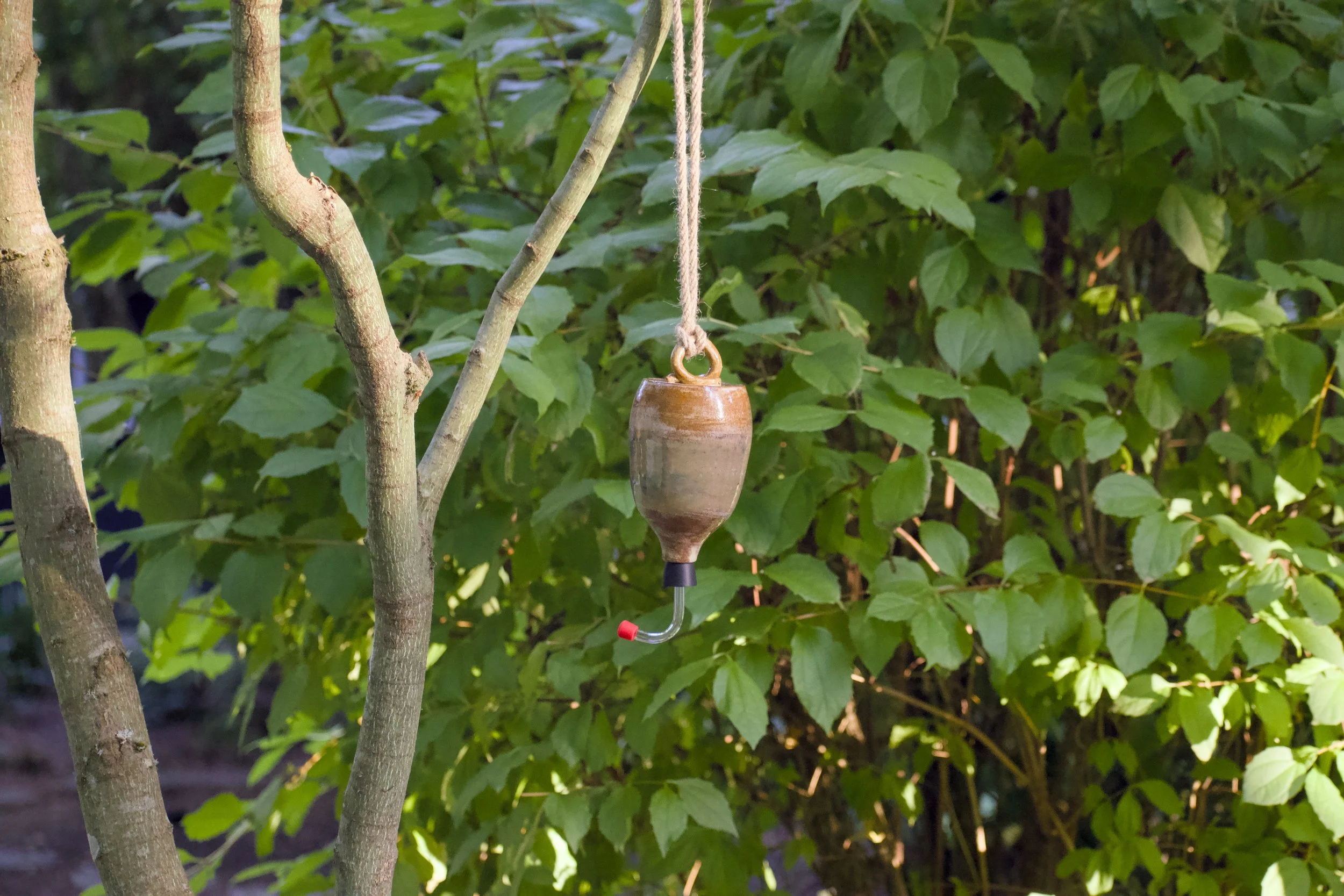 Hanging.jpg