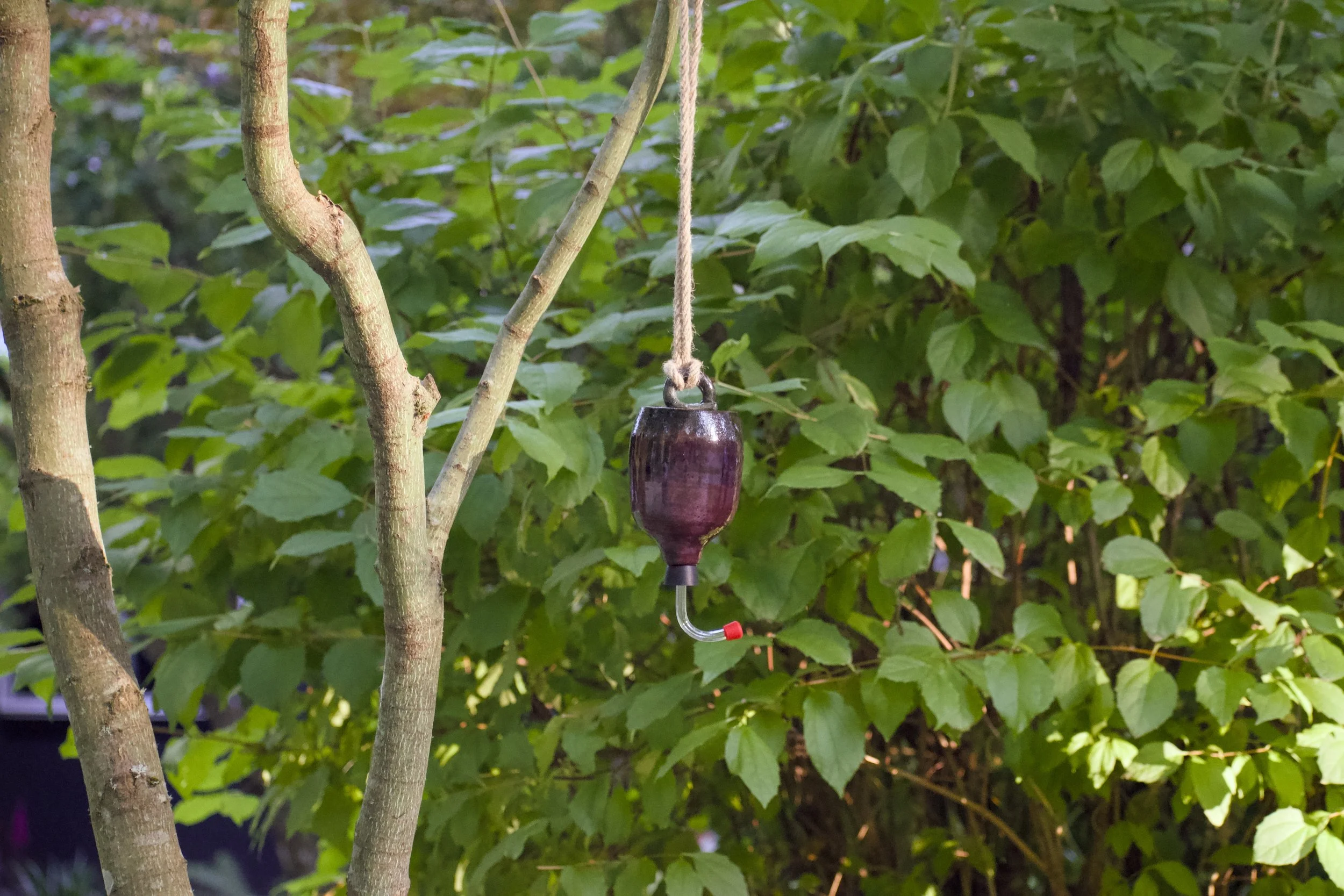 Hanging.jpg
