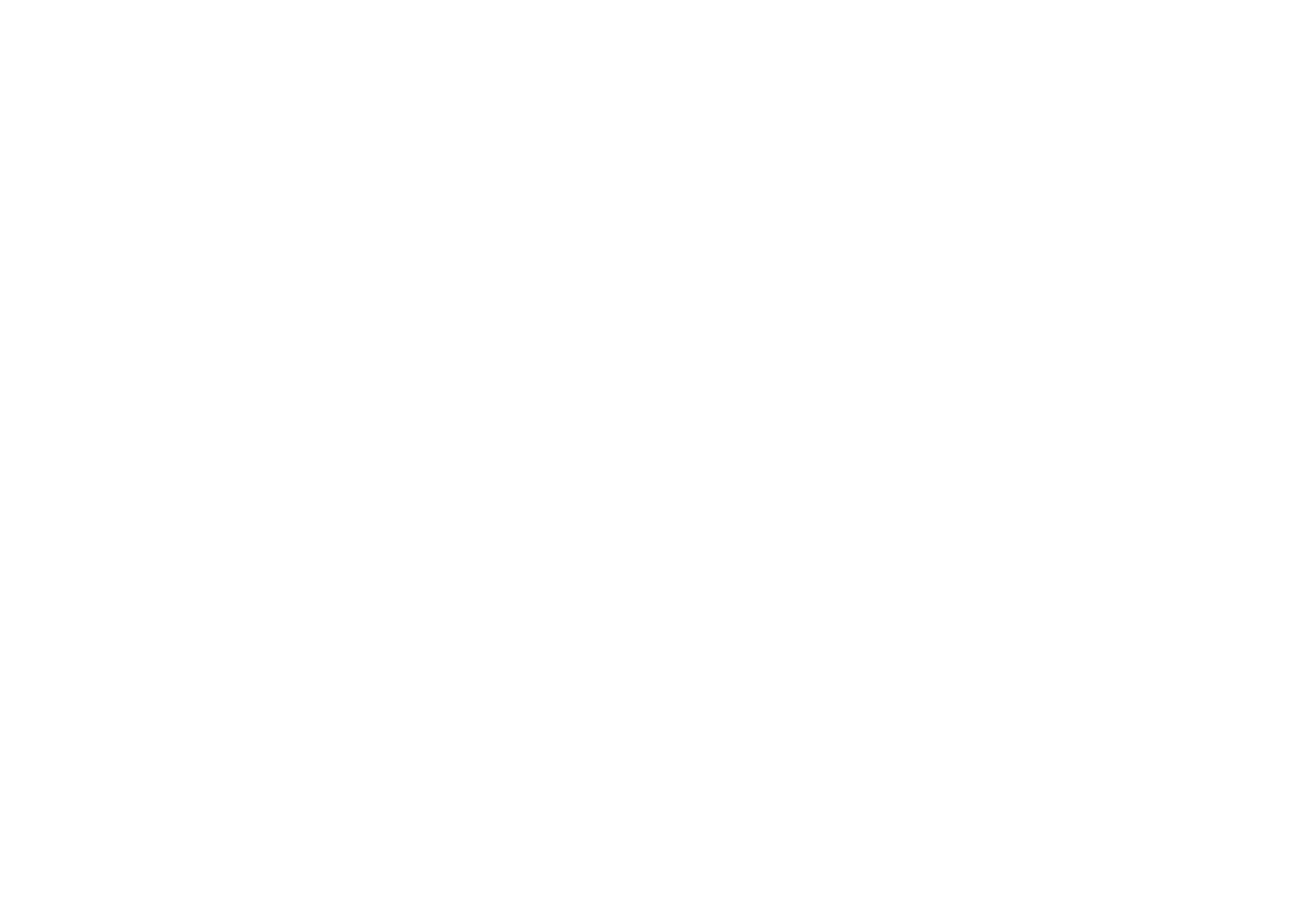 RICE MEDIA COMPANY LLC