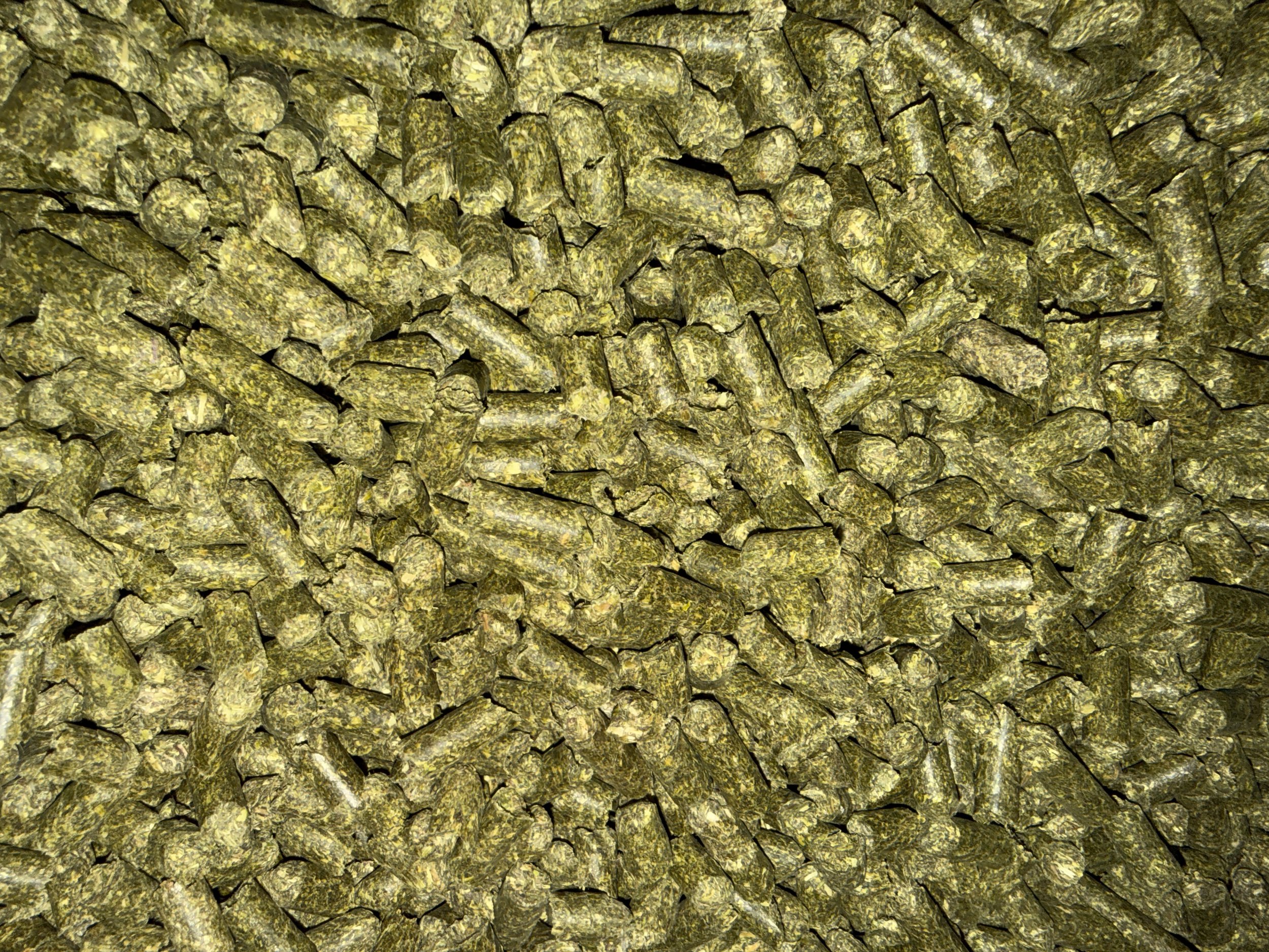 Basic Plan to Transition to Forage Based Diet